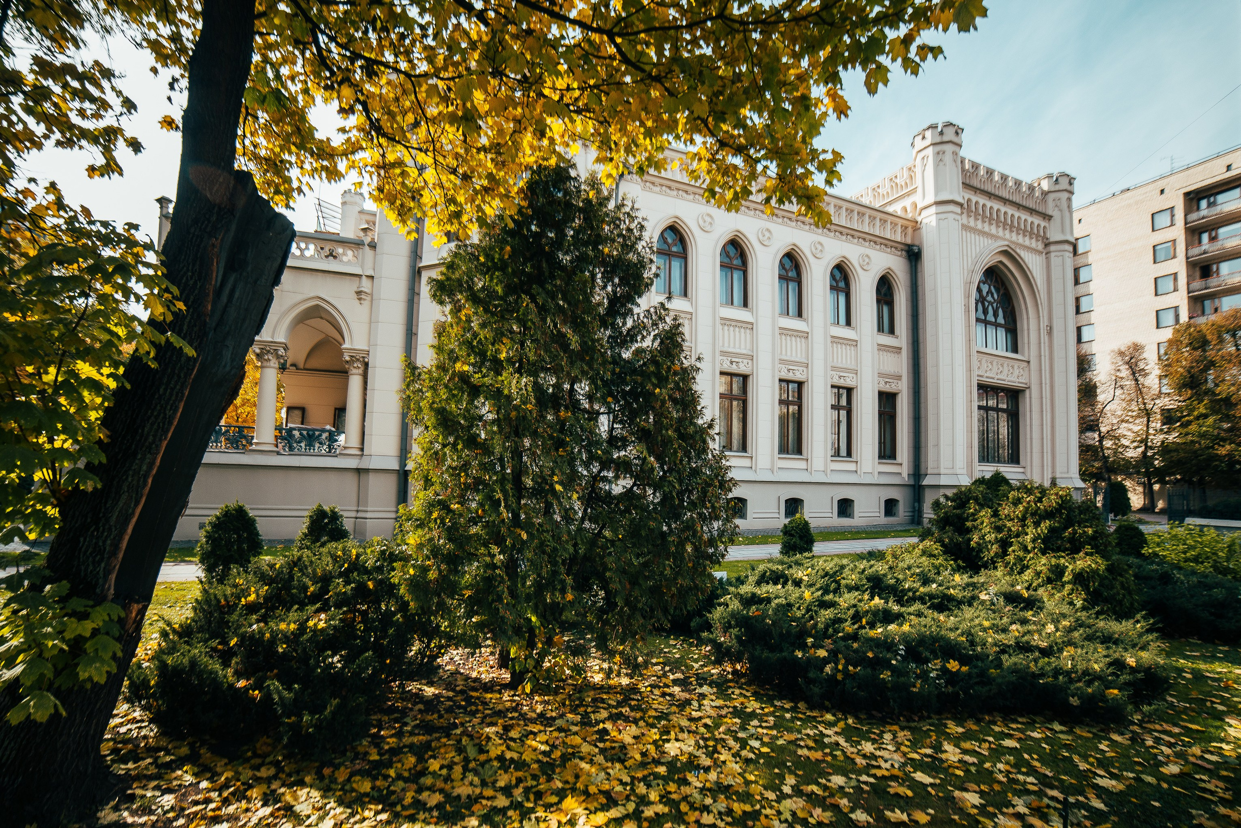/пейзаж. Фотограф Вика Про