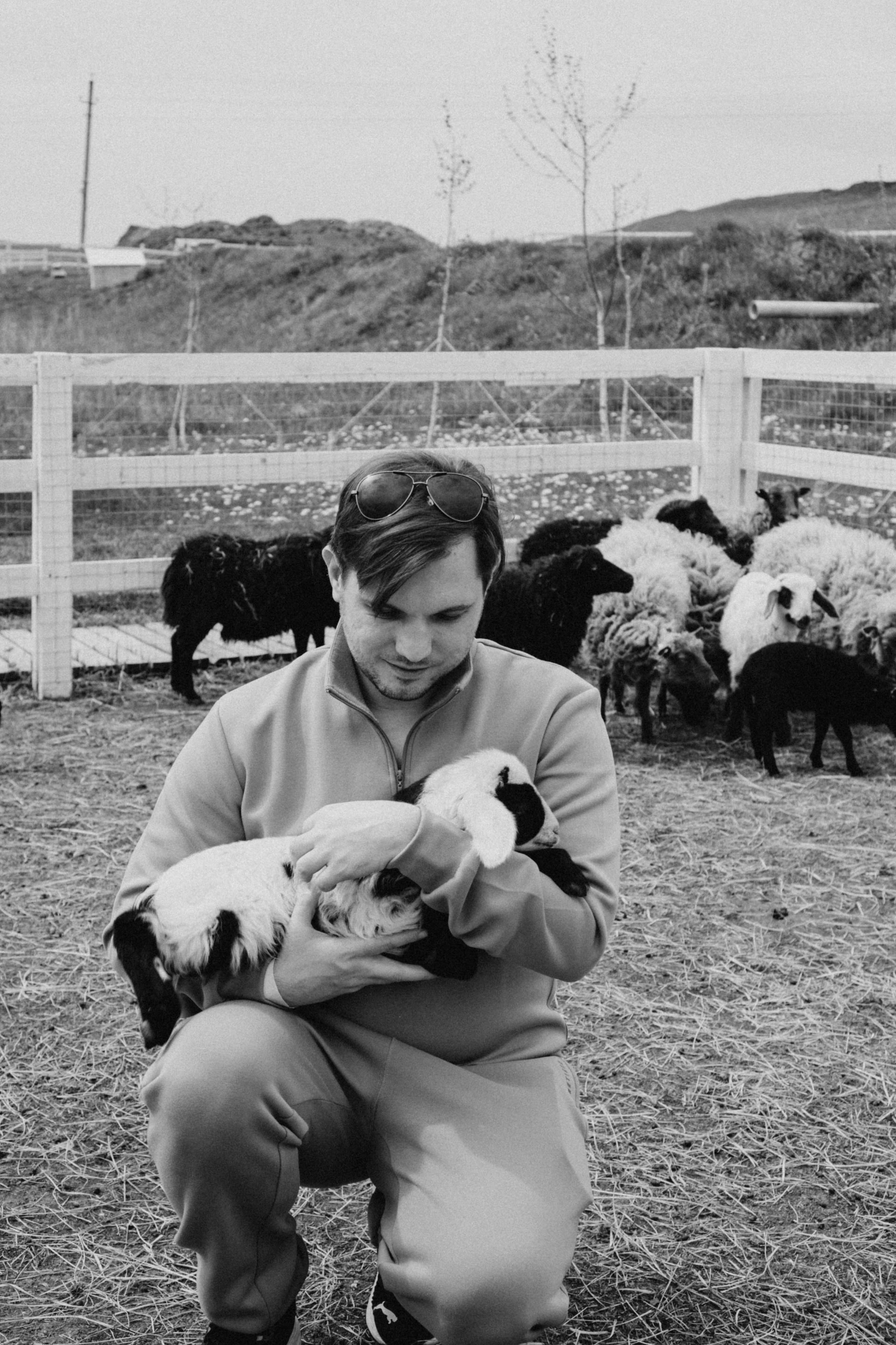 Ферма Альпак. Профессиональный фотограф, Санкт-Петербург — Виктория Богомолова