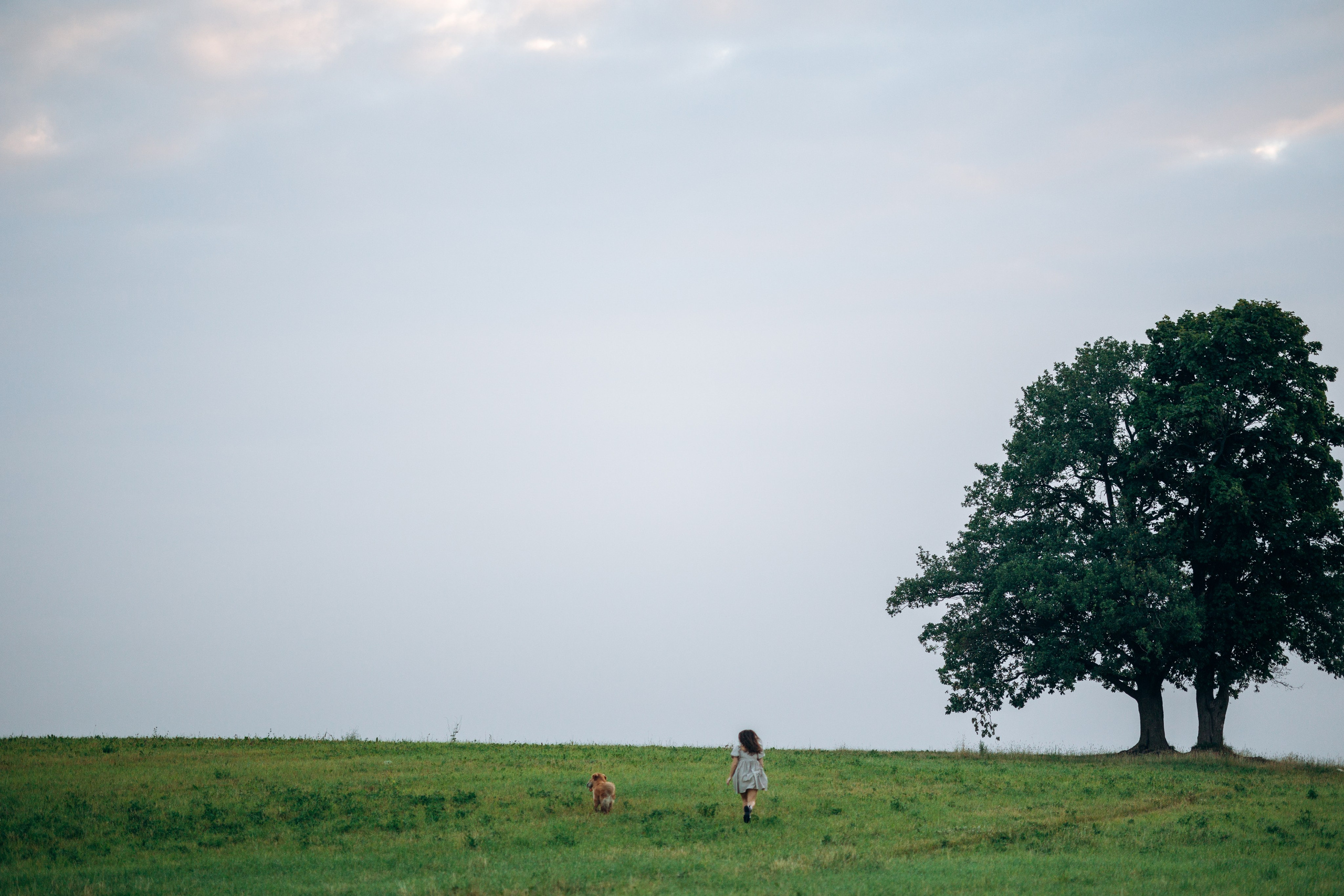 Аня и Ноллан. Фотограф — Анималист | Санкт-Петербург