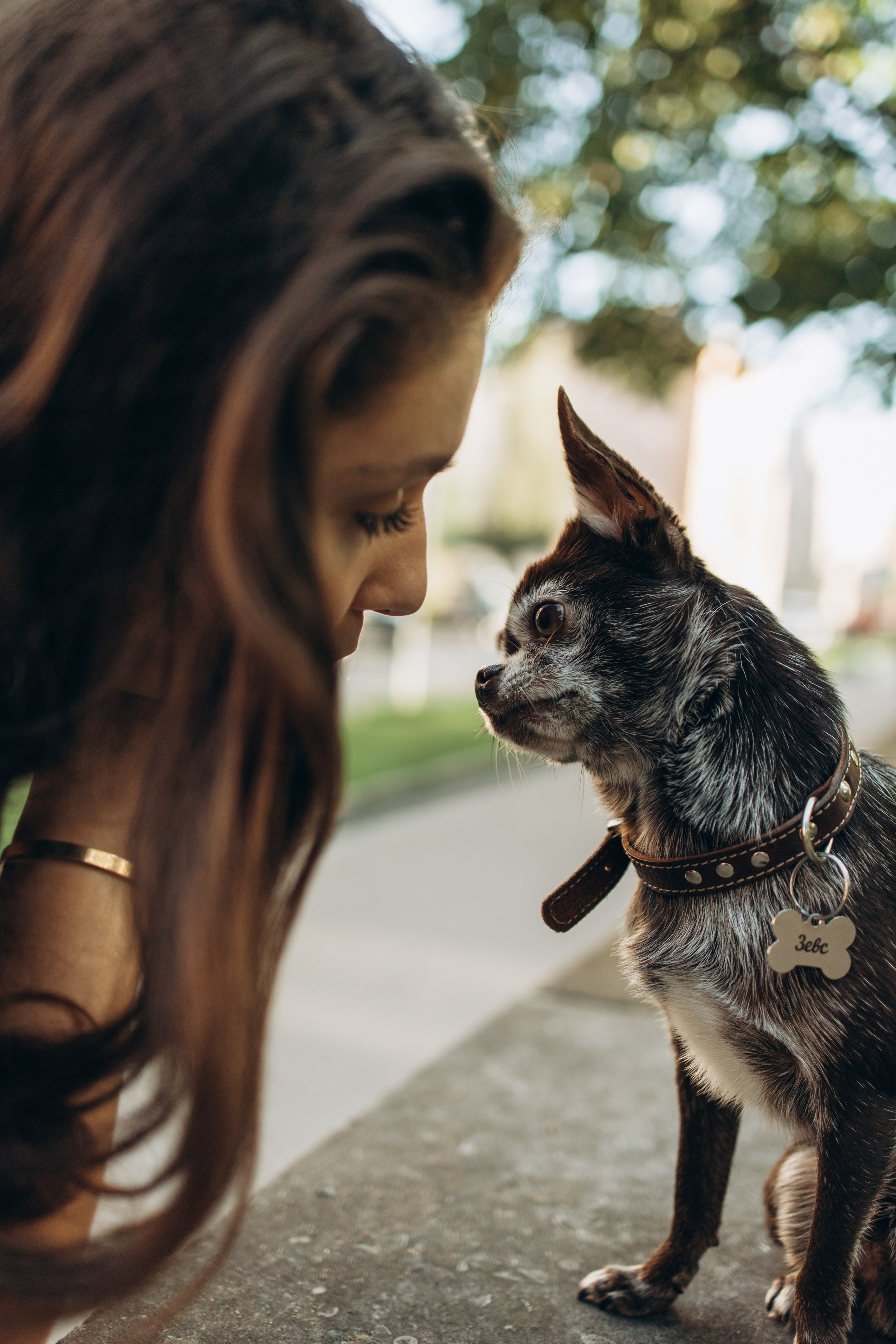 Даша и ее мальчики. Фотограф — Анималист | Санкт-Петербург