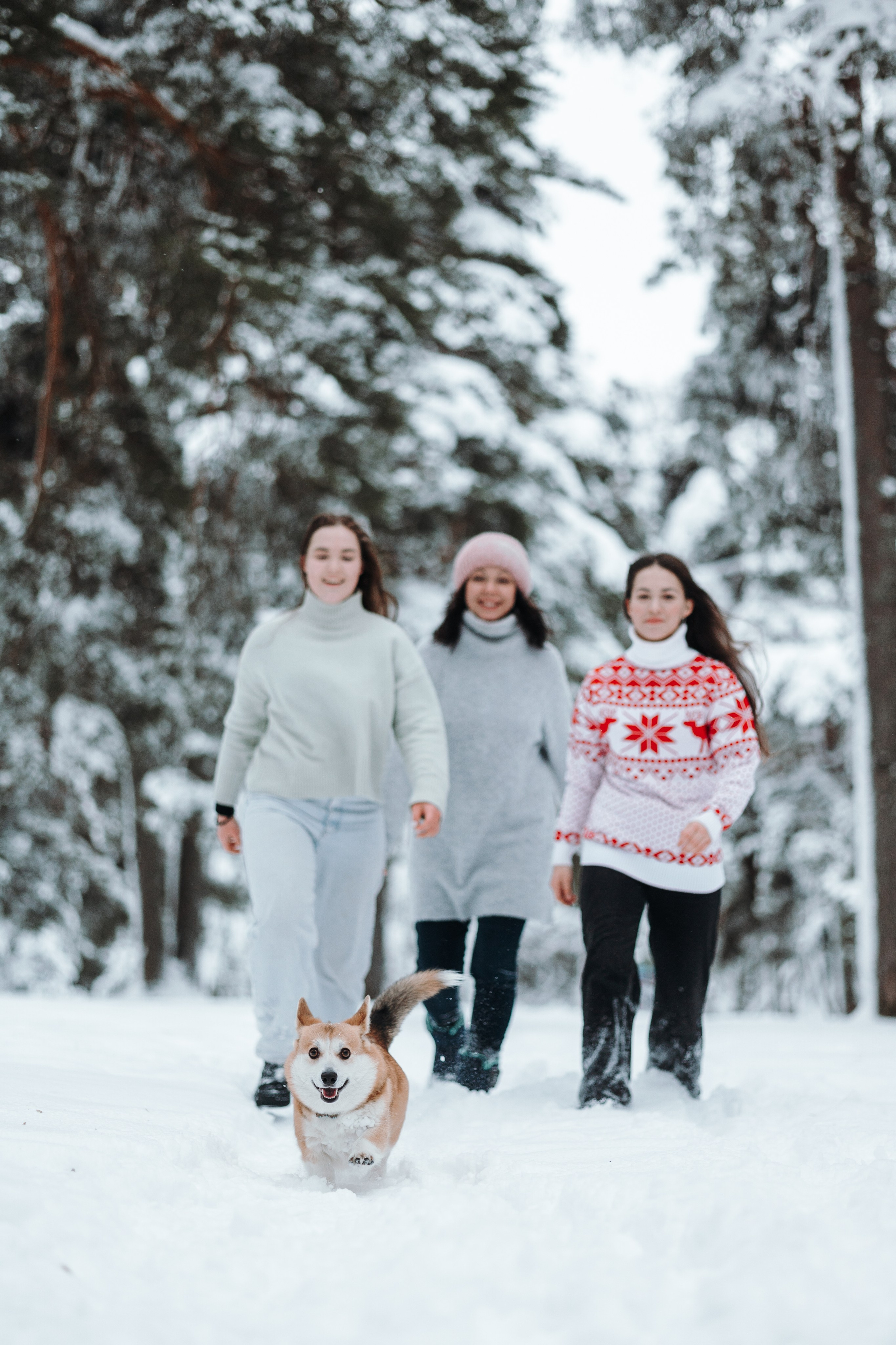 Оливка и ее семья. Фотограф — Анималист | Санкт-Петербург