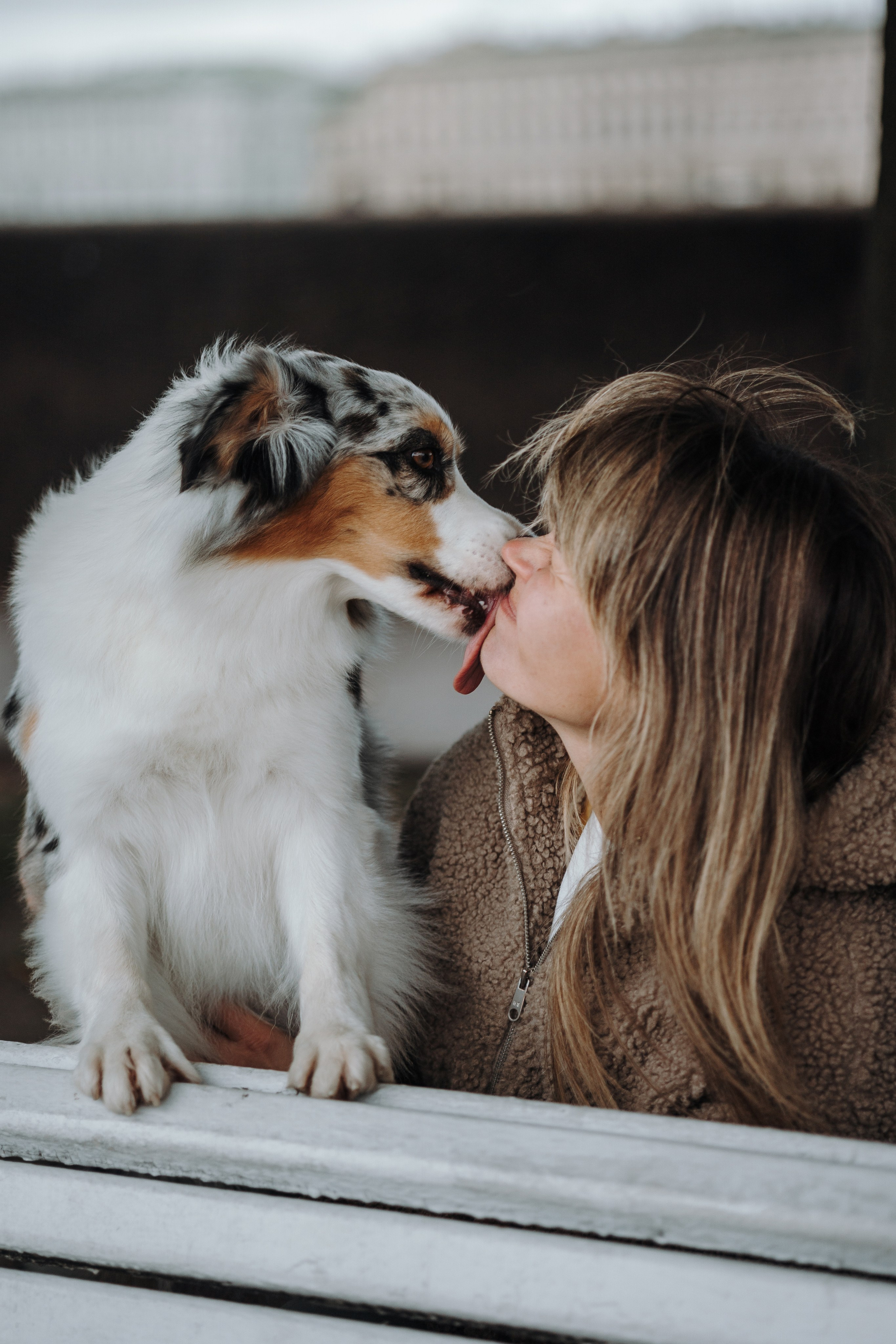 Ирина и Кайса. Фотограф — Анималист | Санкт-Петербург