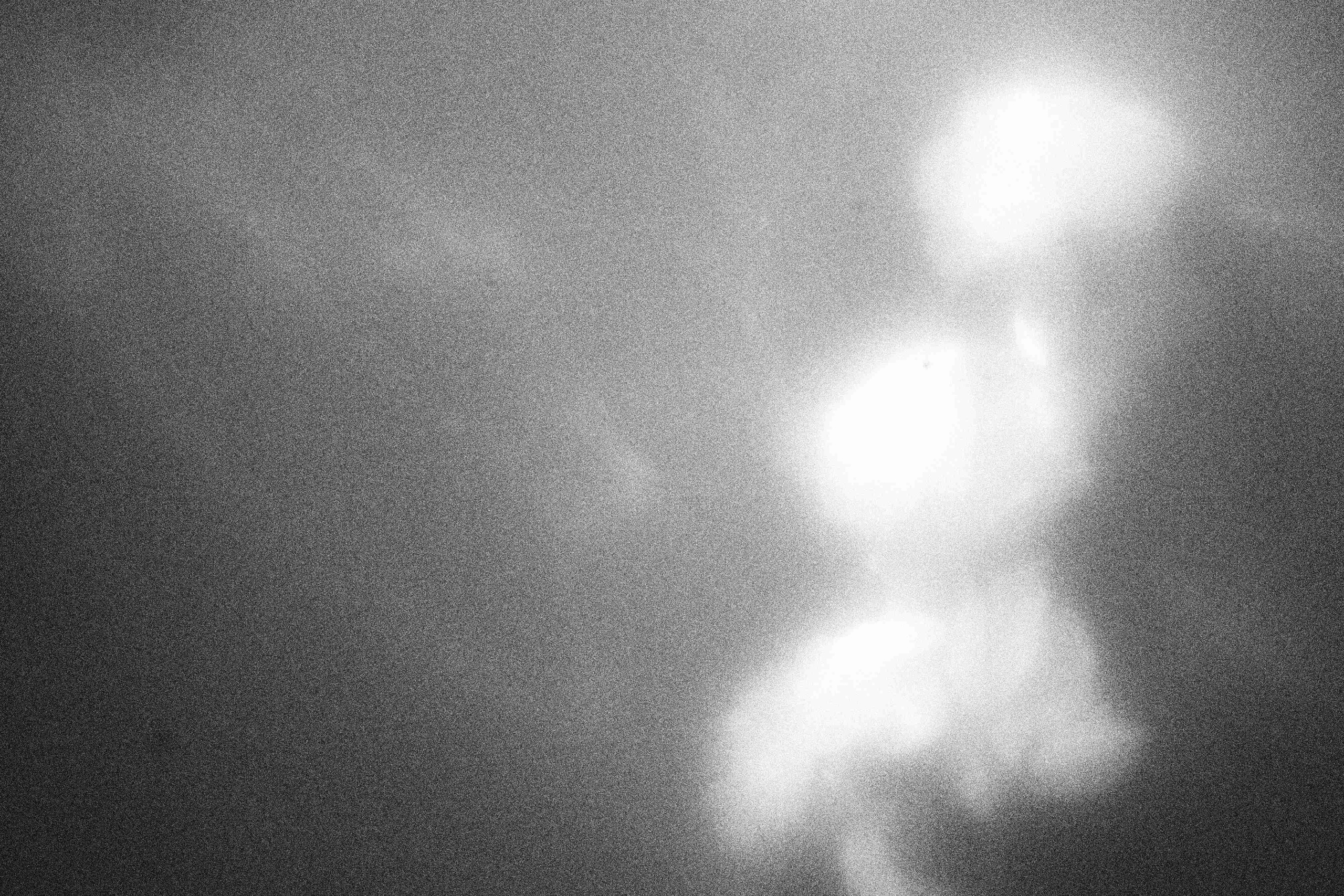 «Видеть. Чувствовать. Сохранять»