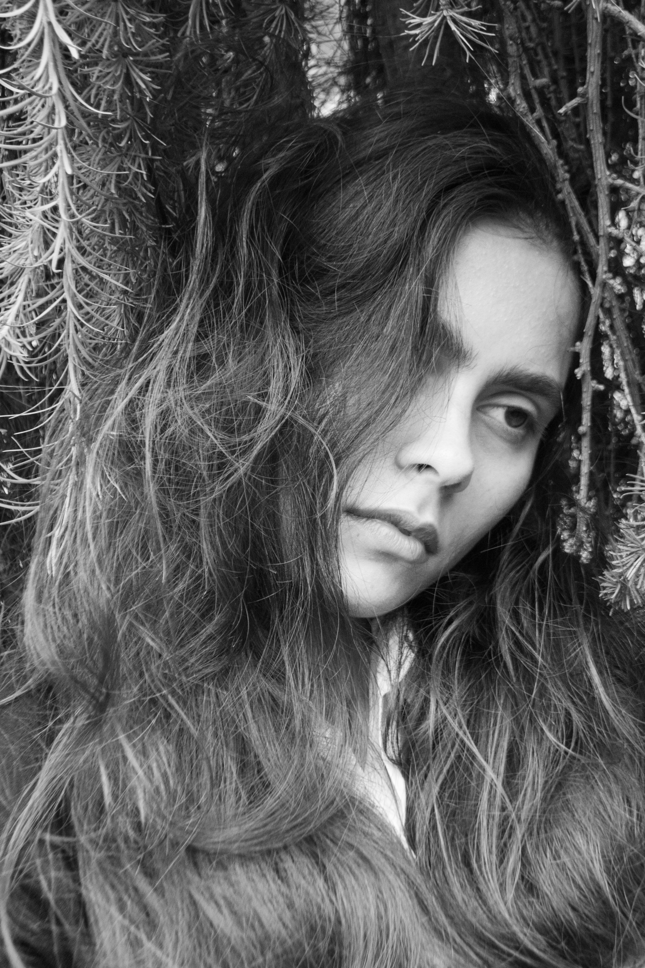 For Liza. VICTORIA SHU