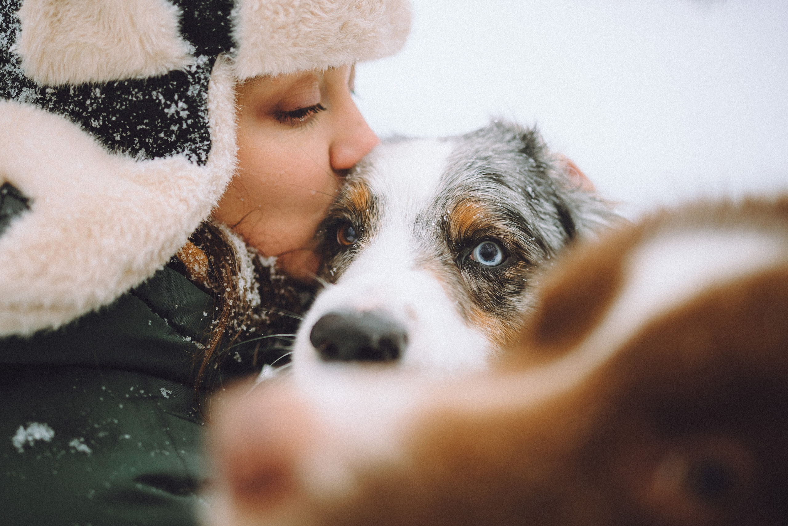 Лена, Принц и Фенек