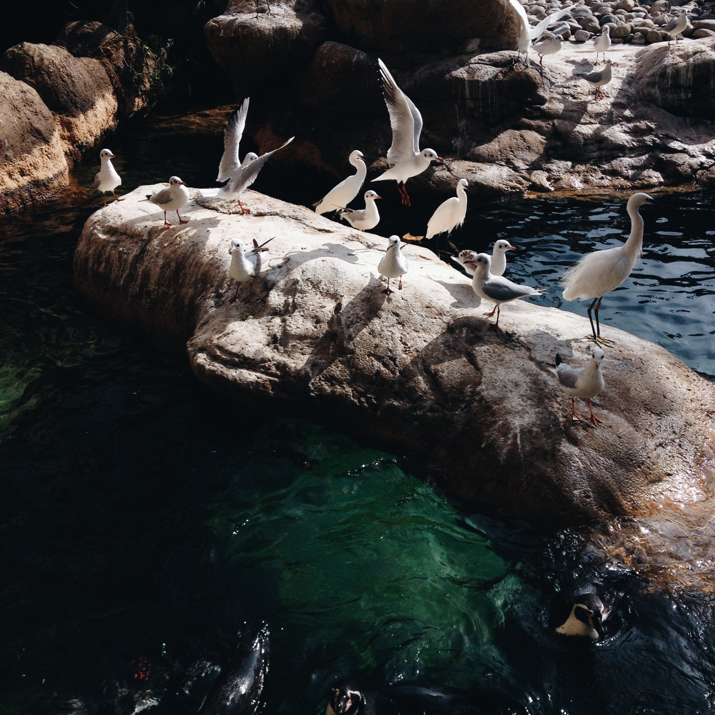 2014, iPhone 4s, Spain