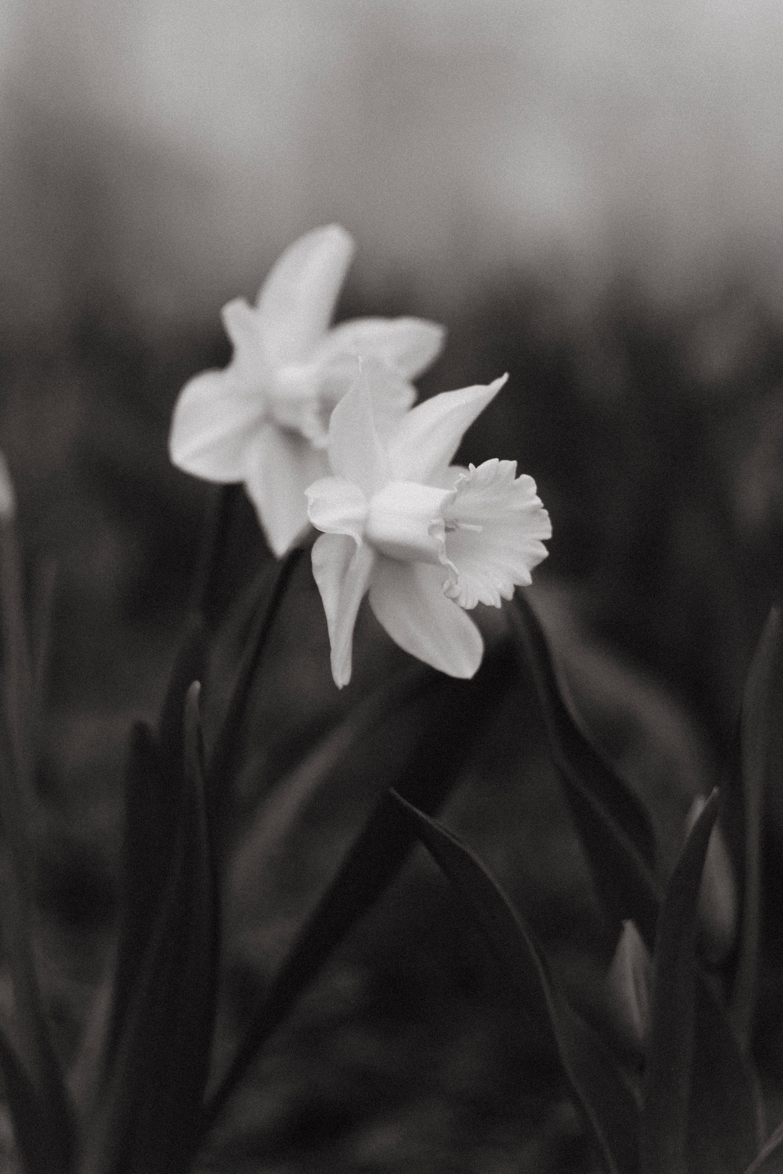 Man. Фотограф Димитровград Казань Валерия Владимиркина