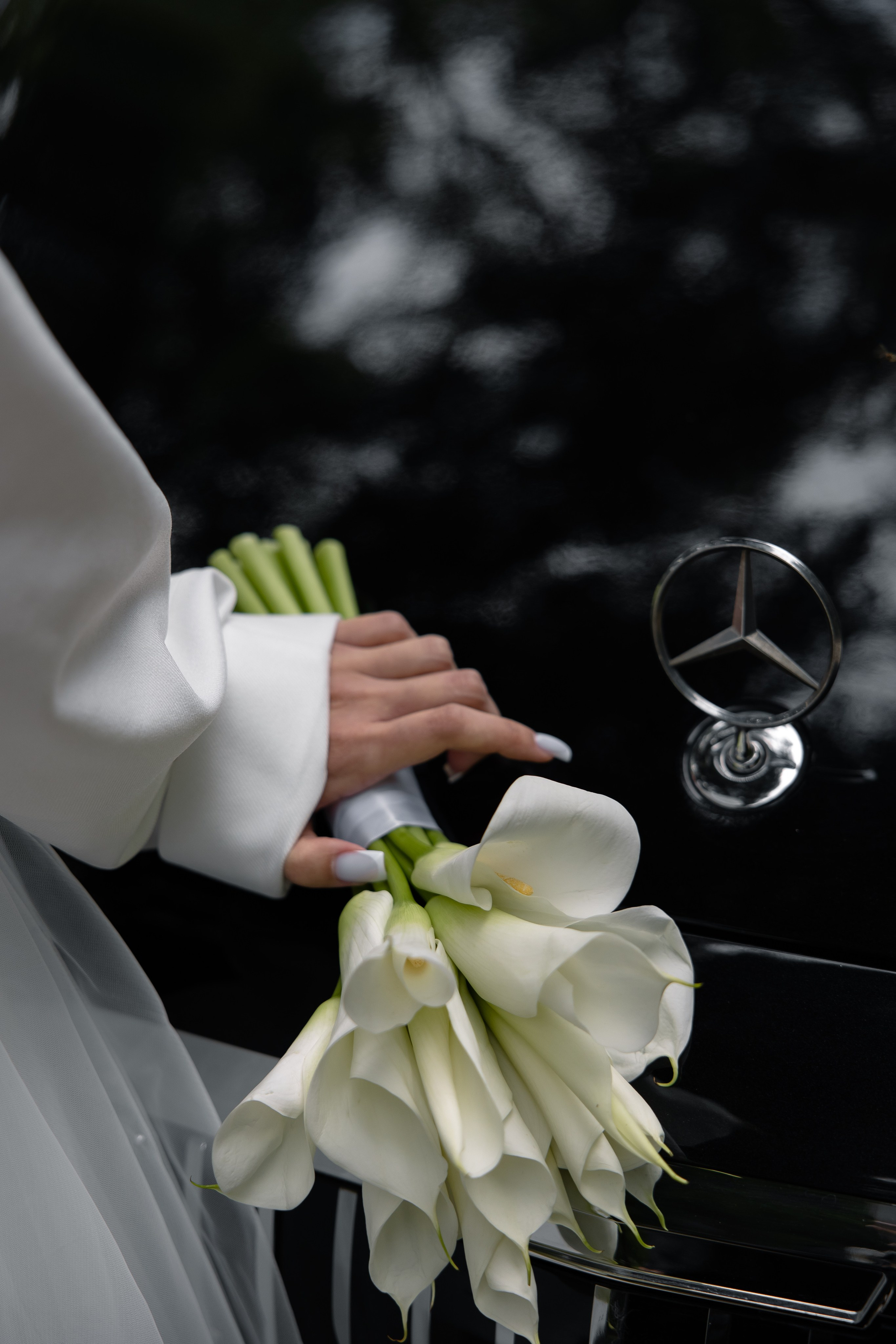 Глеб и Алина. Свадебный и семейный фотограф в Новосибирске Наталья Зорина