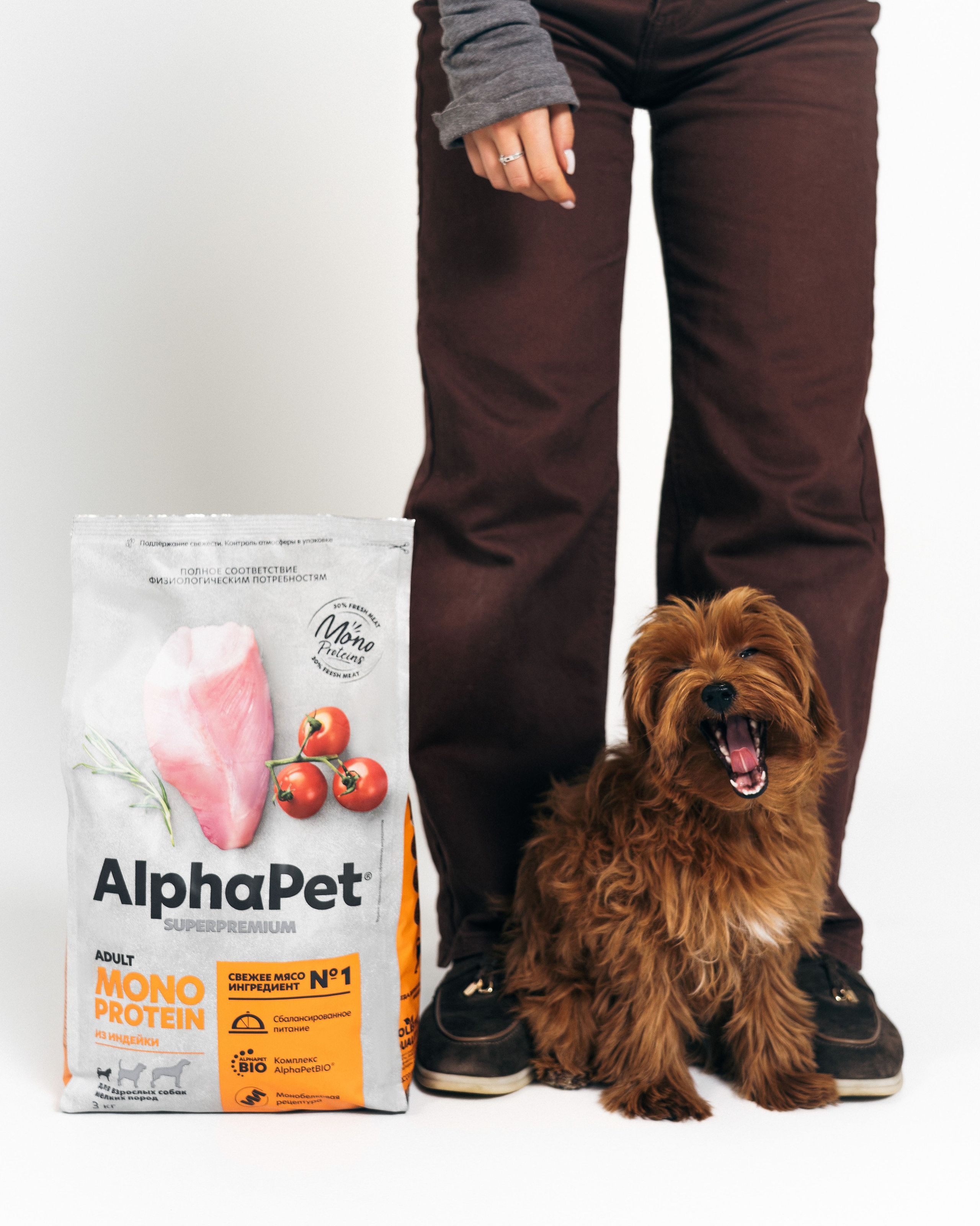 AlphaPet. Фотограф Москва
