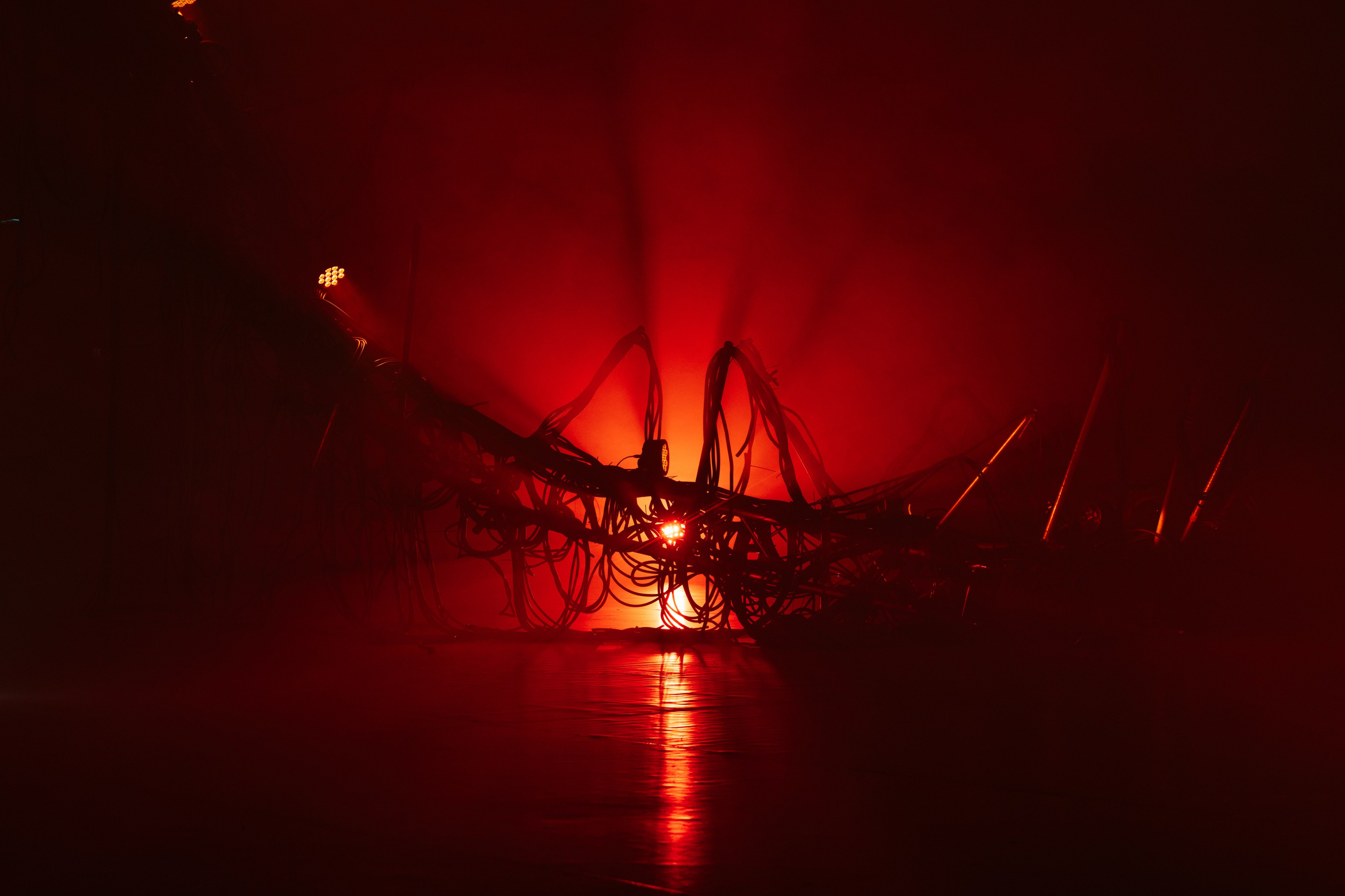 PANTERRA, CHRONOMORPH 001. @tomrus: Рустам Шагиморданов — фотограф