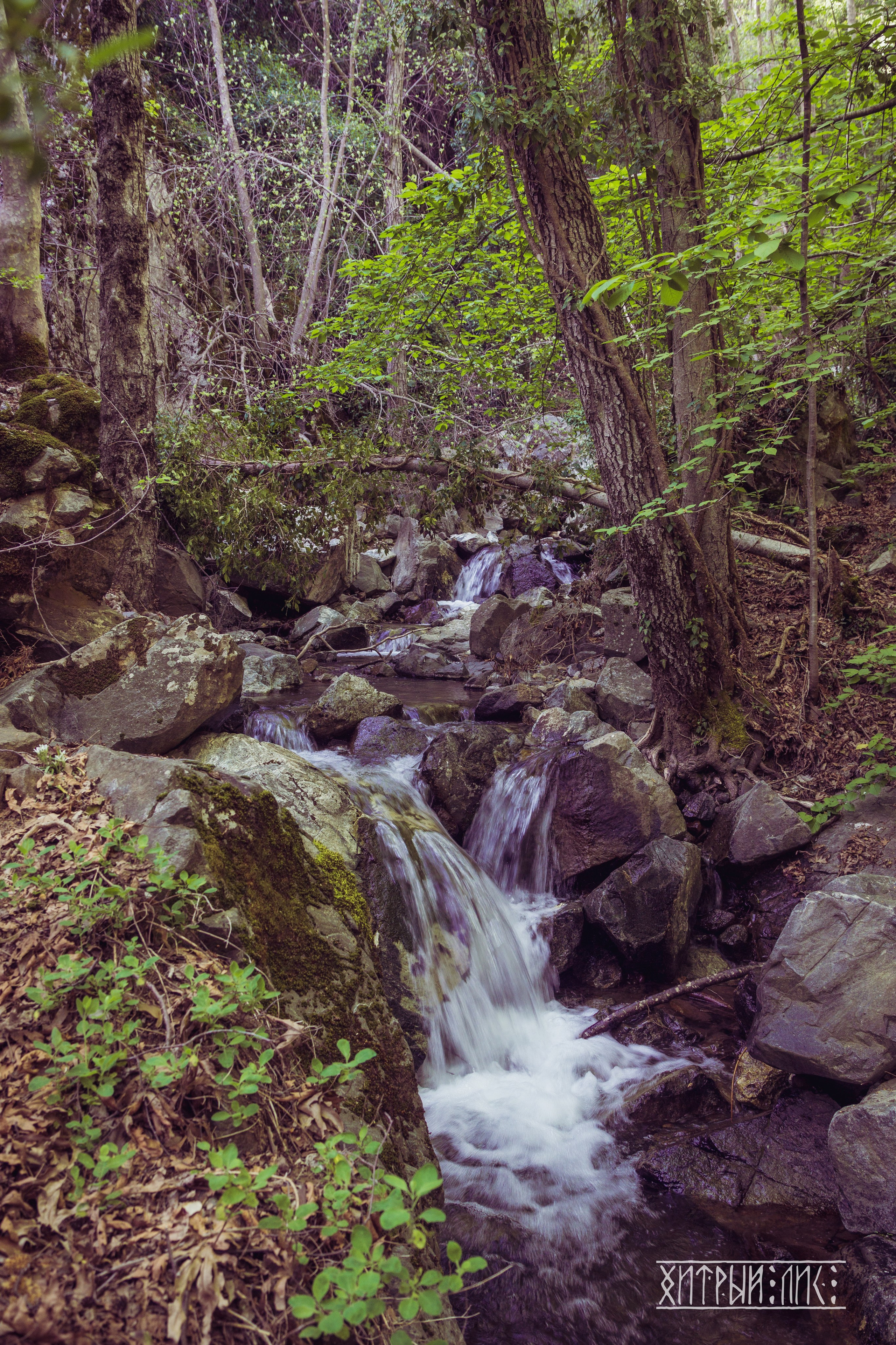 Кипр. Фотограф-путешественник Самойлов Максим «Sly Fox»