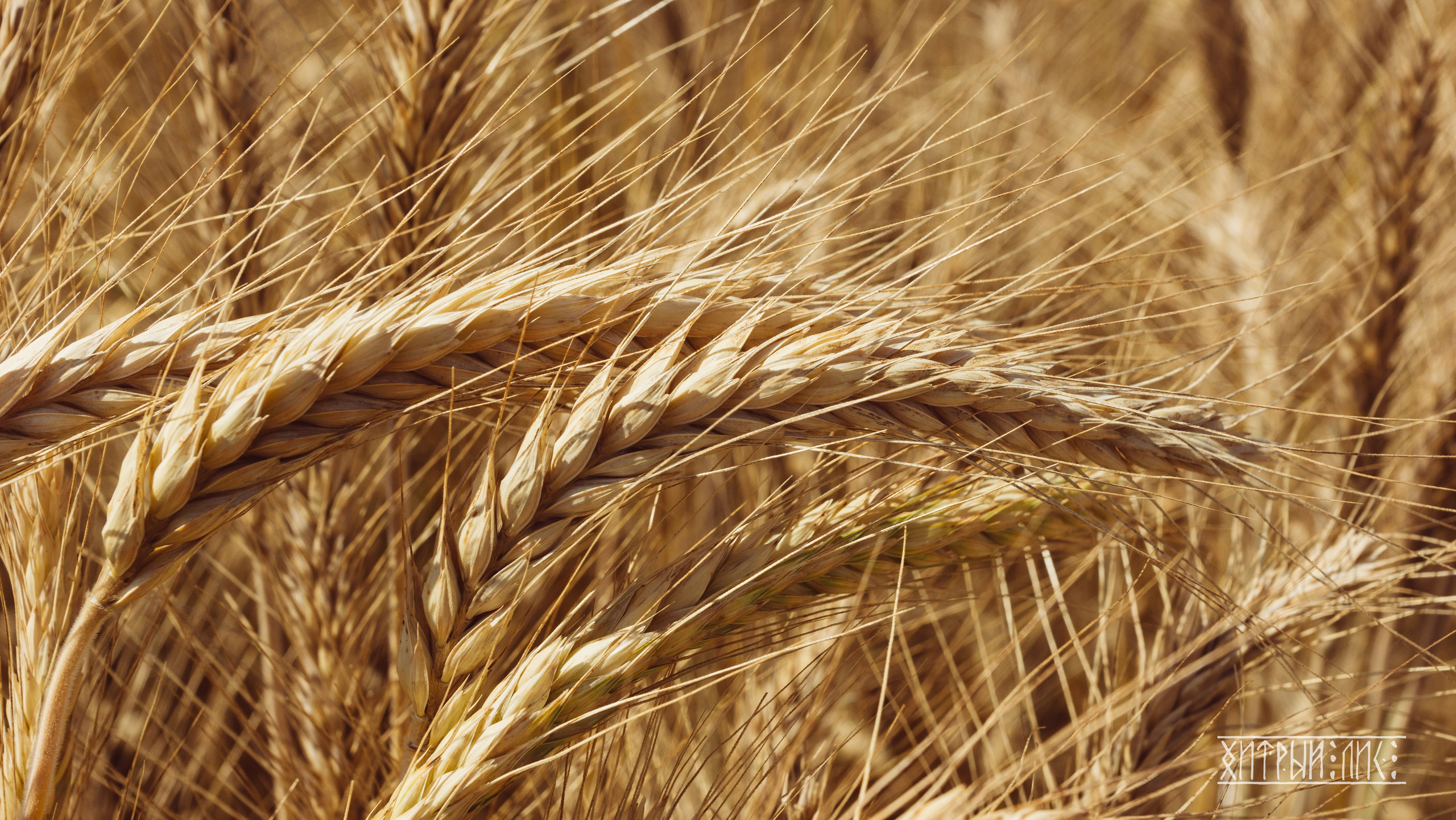 Кипр. Фотограф-путешественник Самойлов Максим «Sly Fox»