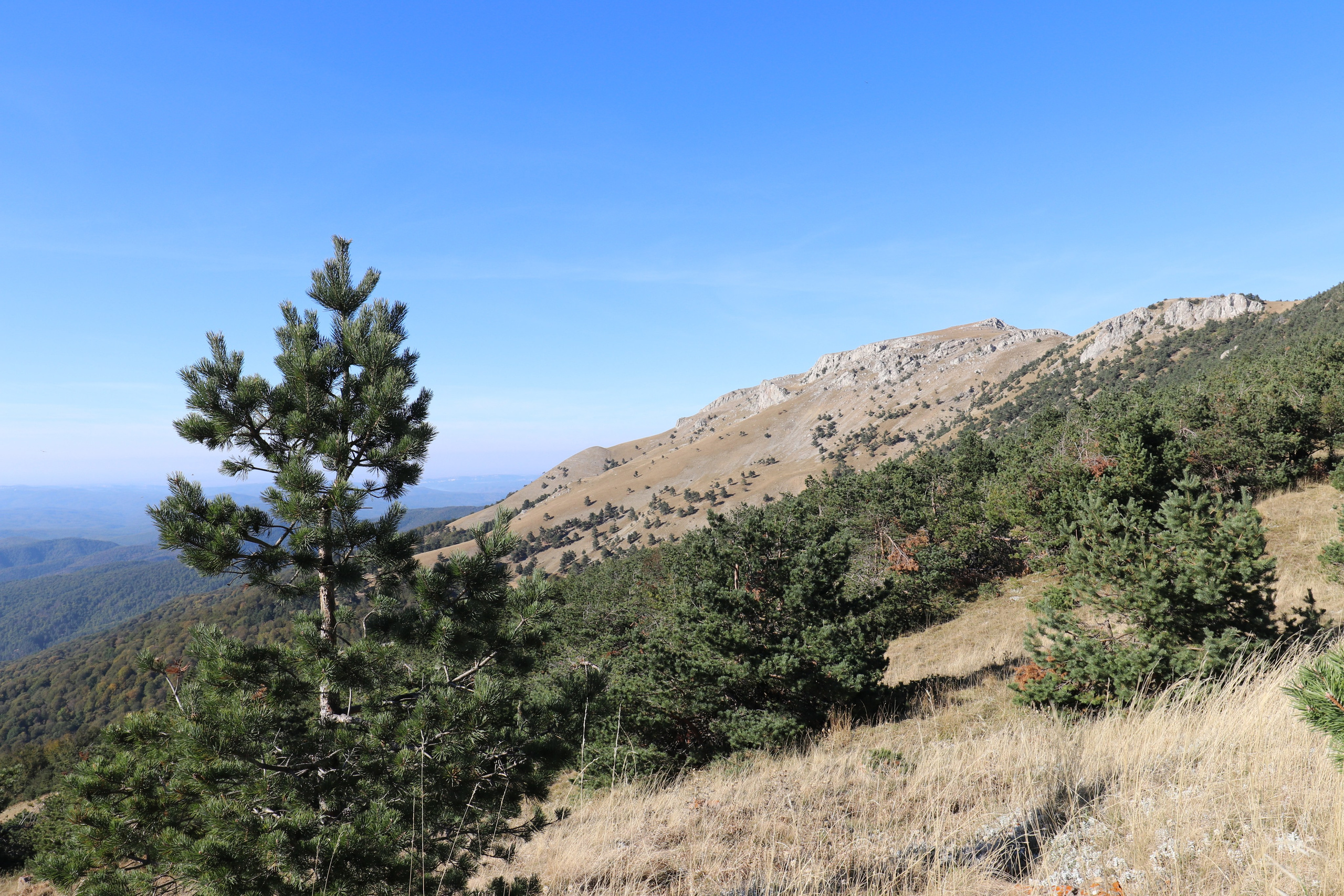 Крым. ЮБК (Фиолент, Ай-Петри, Роман-Кош). Знакомство. Октябрь 2017. Путешественник-фотограф из Санкт-Петербурга Татьяна Свистулина