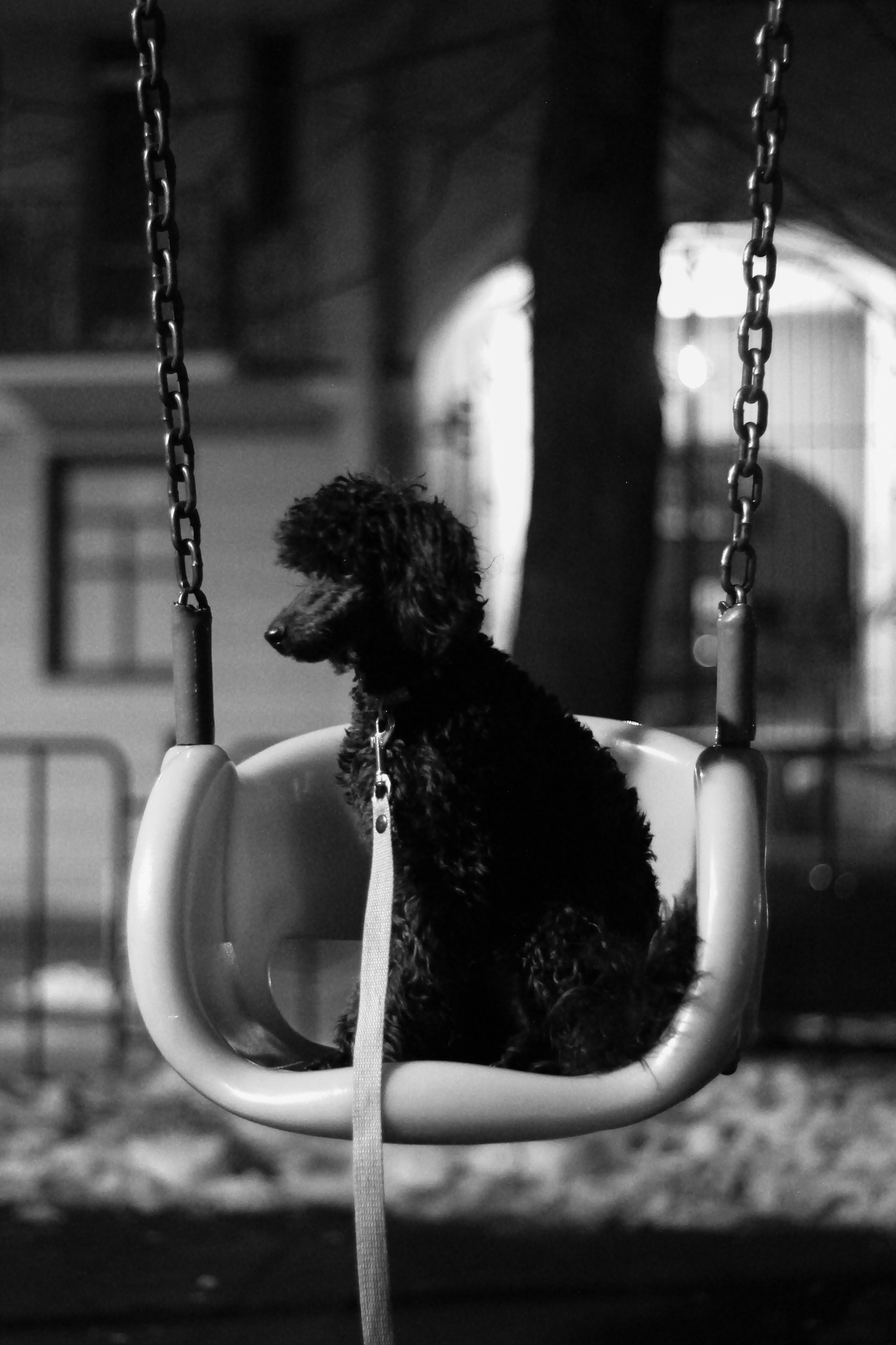 Мишелька и ее хозяйка. Портретный фотограф DanilNabody