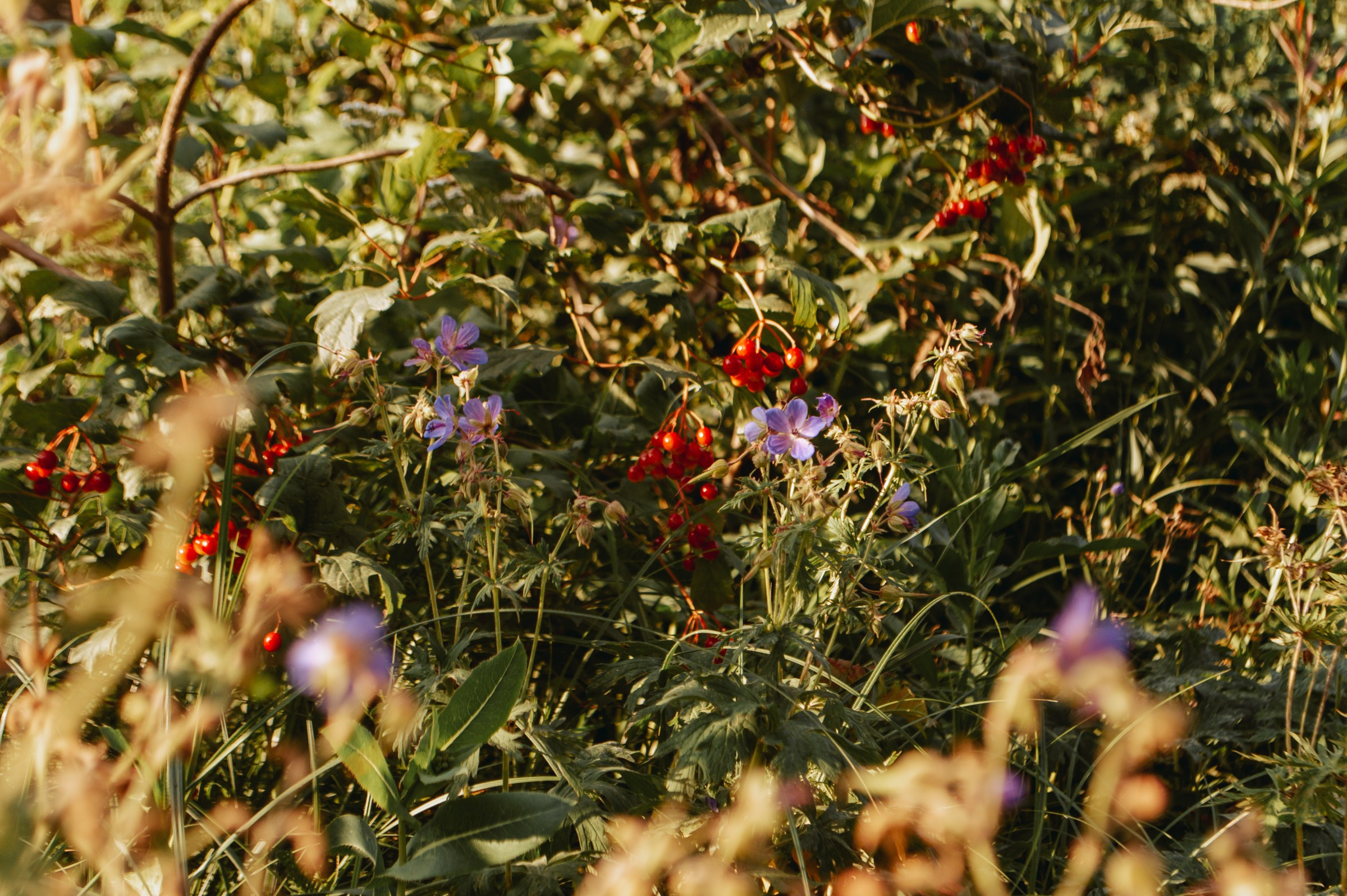 Фотосессия 6