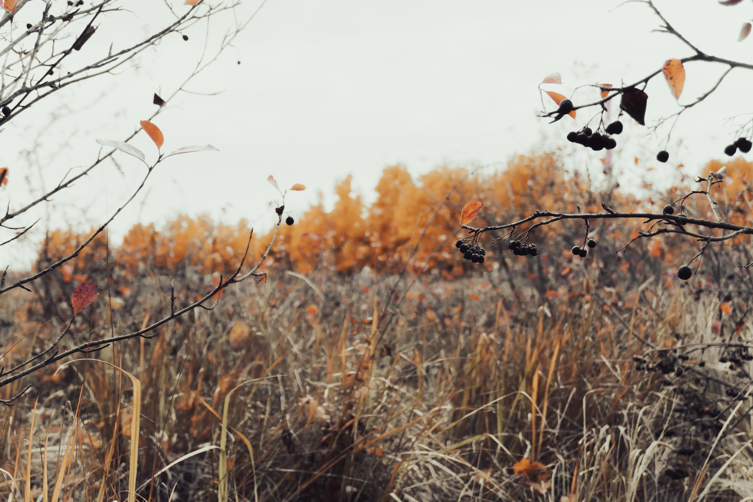 Фотосессия 4