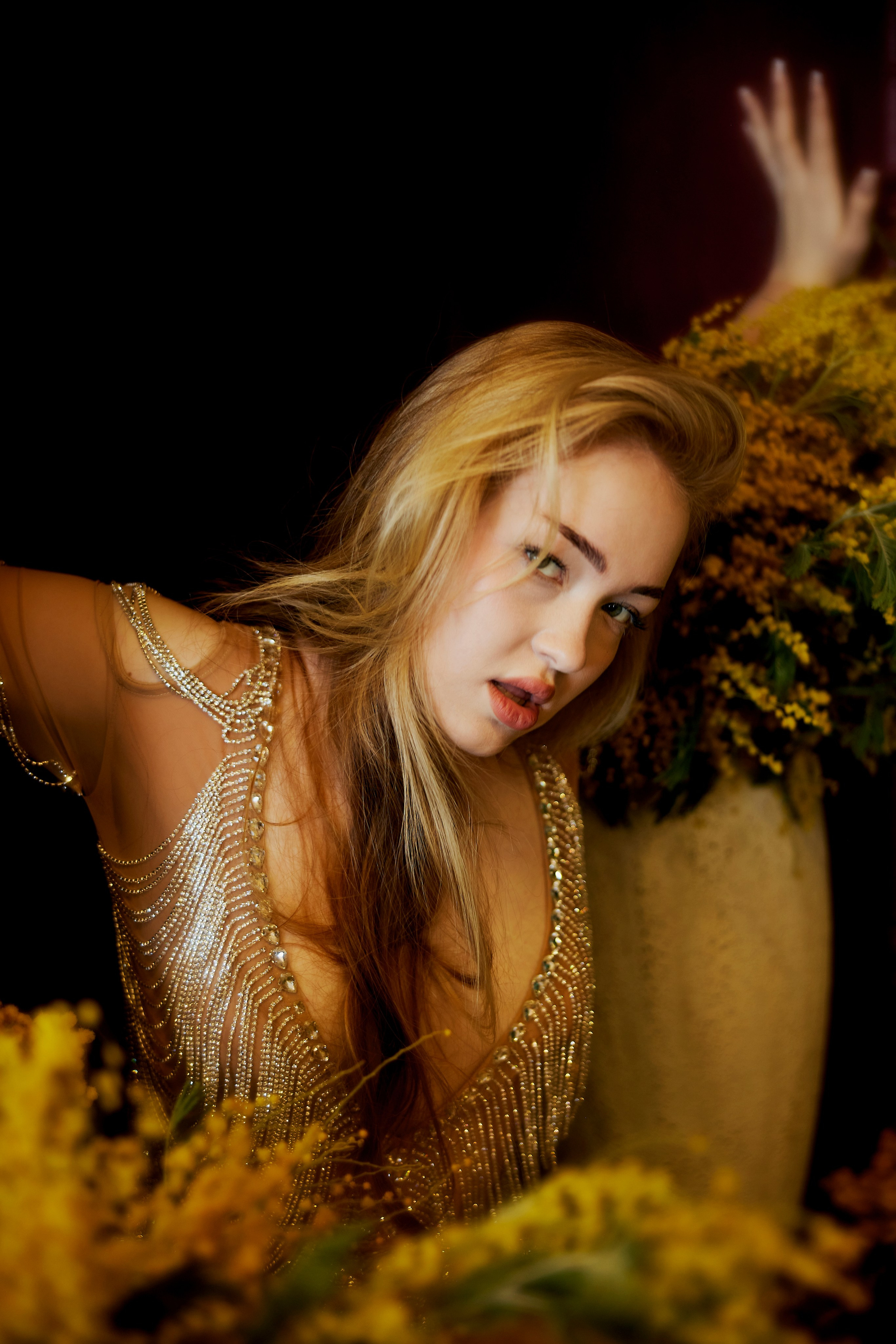 Мимоза 2. Сергей Ирклиенко