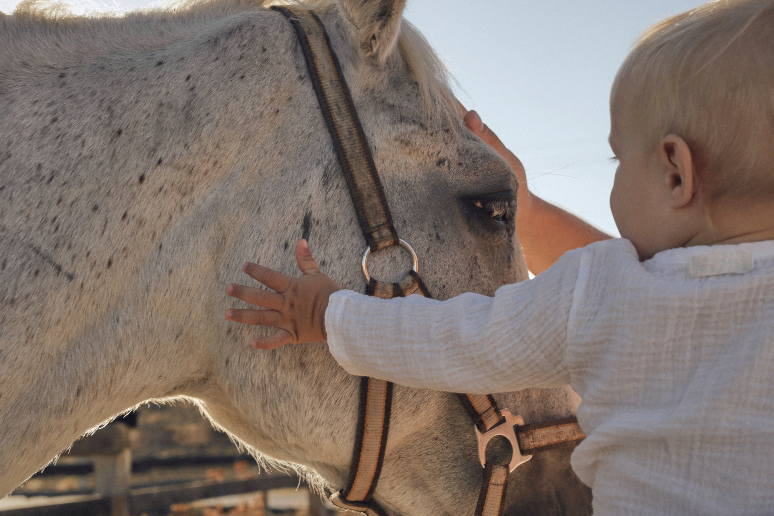 Семейная фотосессия. Семейный фотограф в Феодосии и по Крыму Брежнева Алла