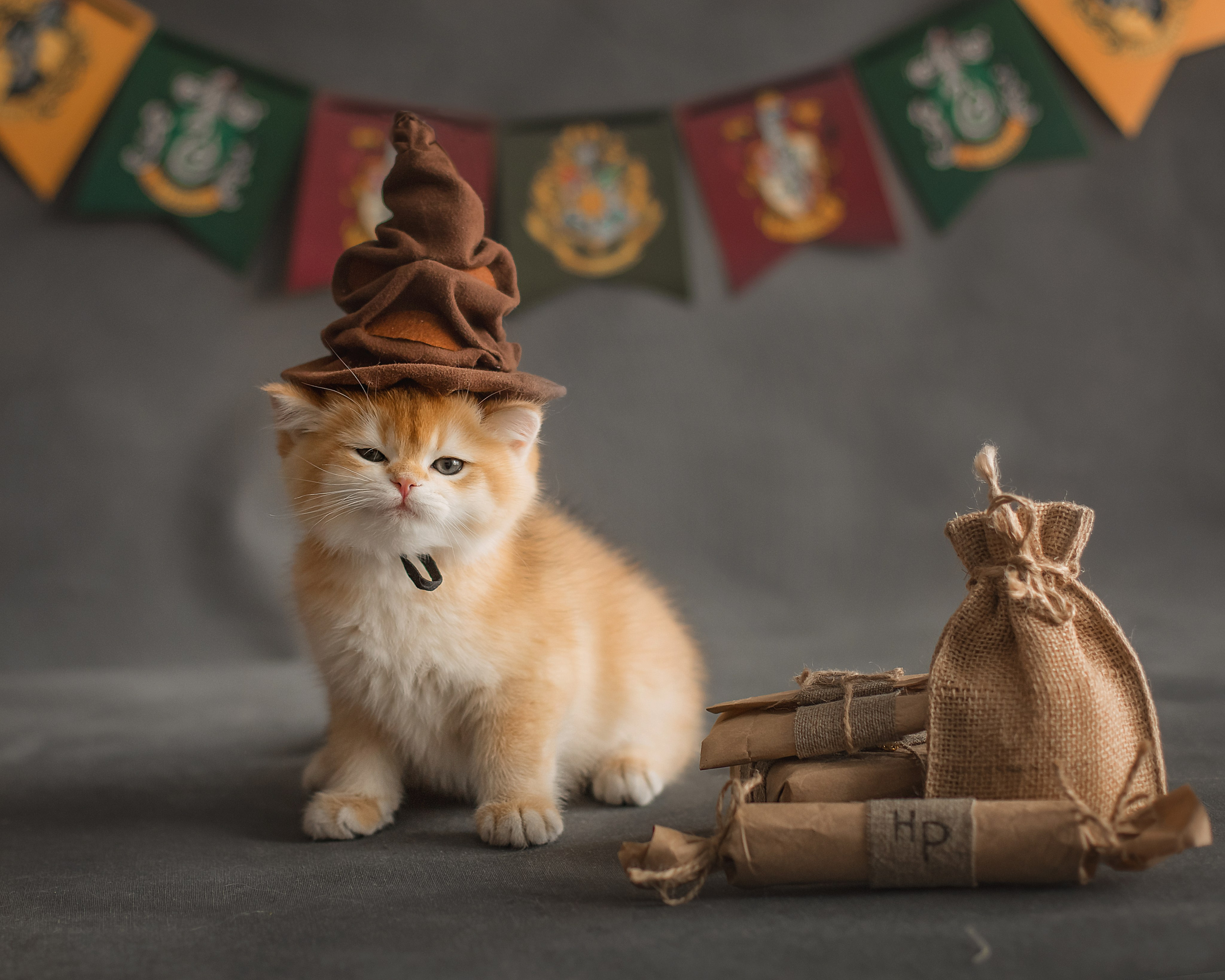 Фотограф в Хабаровске — запись на съёмку. Алена Попова — фотограф в Хабаровске