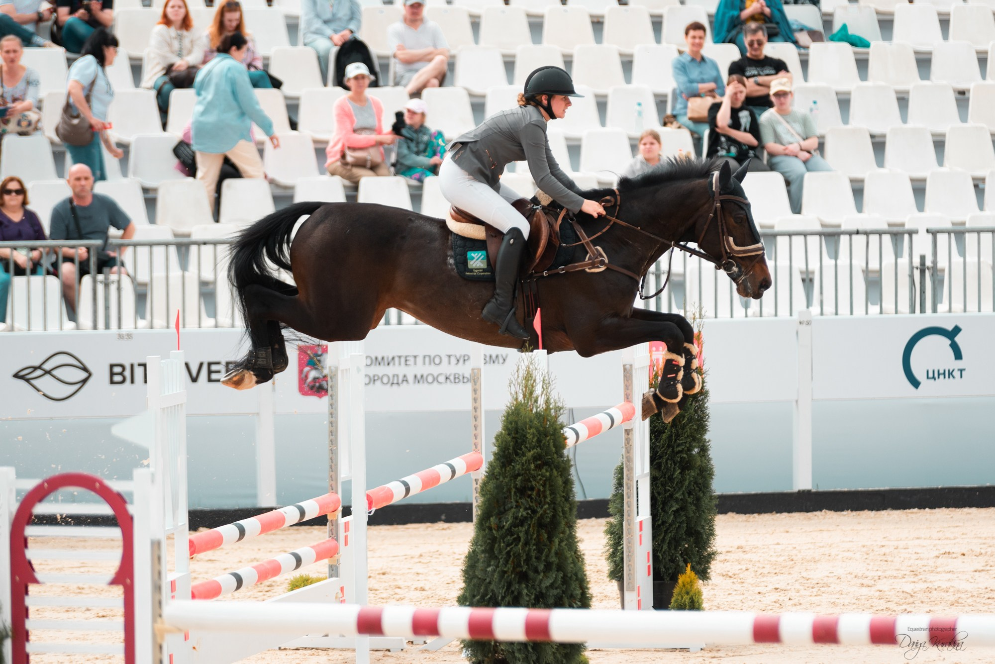 BITRIVER CUP 2023. Конный фотограф Куракина Дарья • Фотосессии с лошадьми