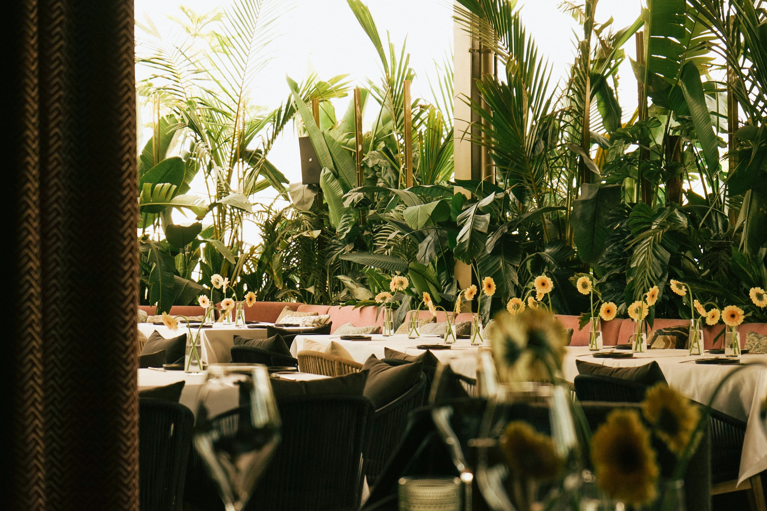 Wedding in Dubai. Photographer in Georgia UAE Russia Nekit Fox