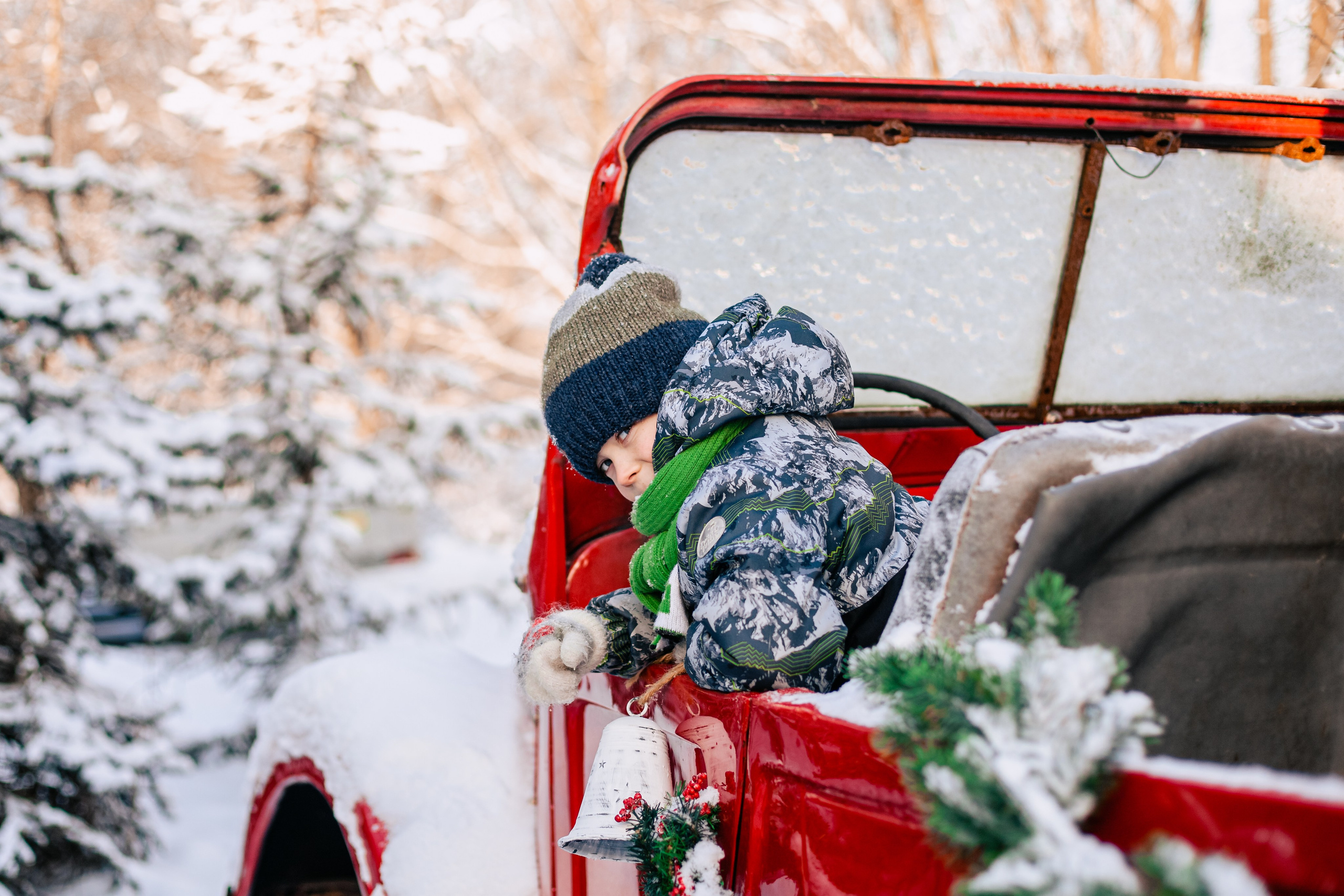 Зингер дача. Фотограф-анималист Татьяна Степанова