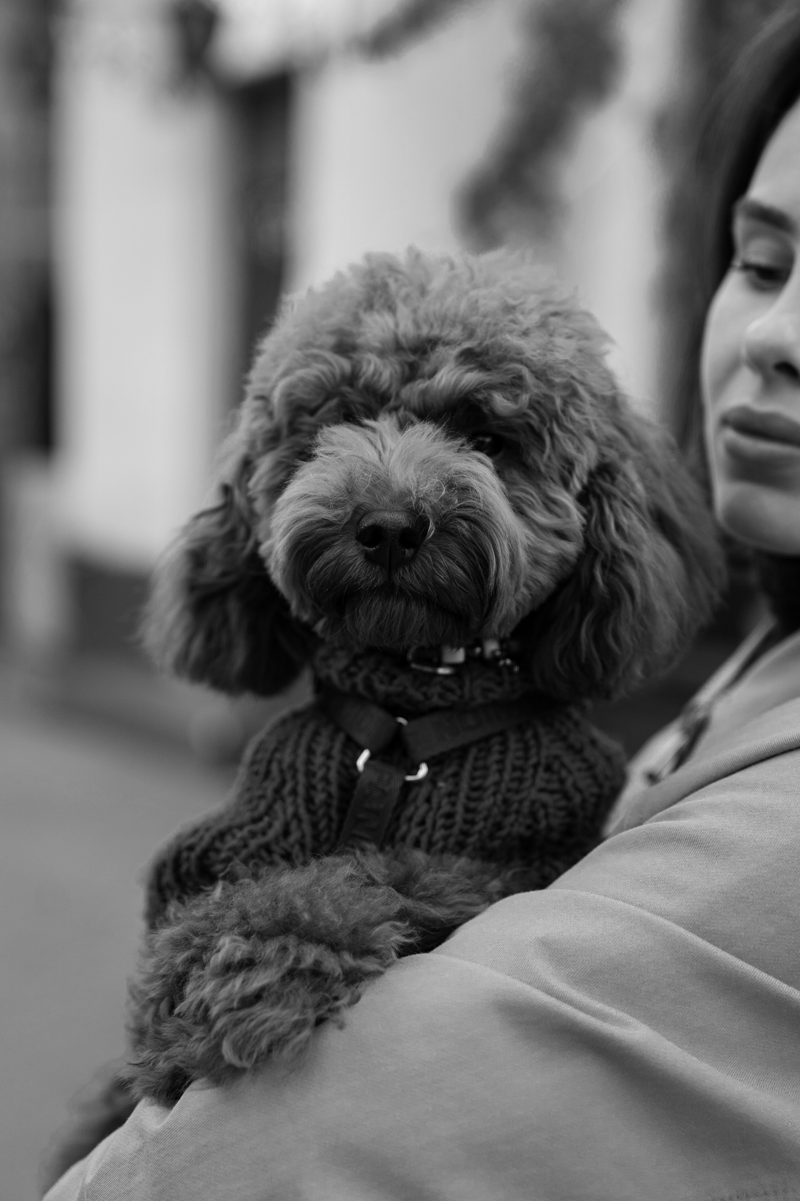 Таня и Боня. Фотограф Севастополь — Климова Анастасия