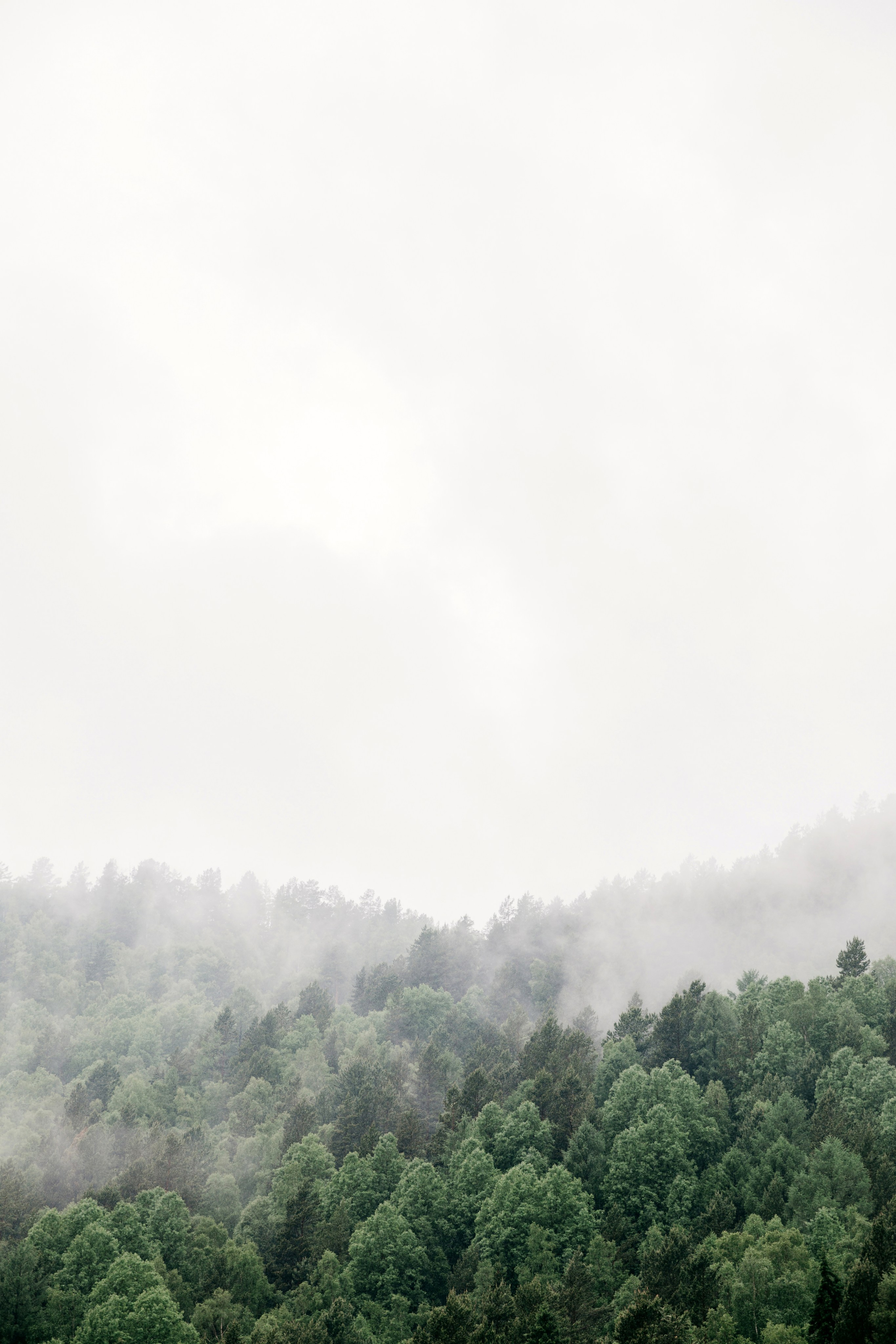 Дмитрий и Екатерина. Свадебный фотограф Иркутск, репортажный фотограф Иркутск