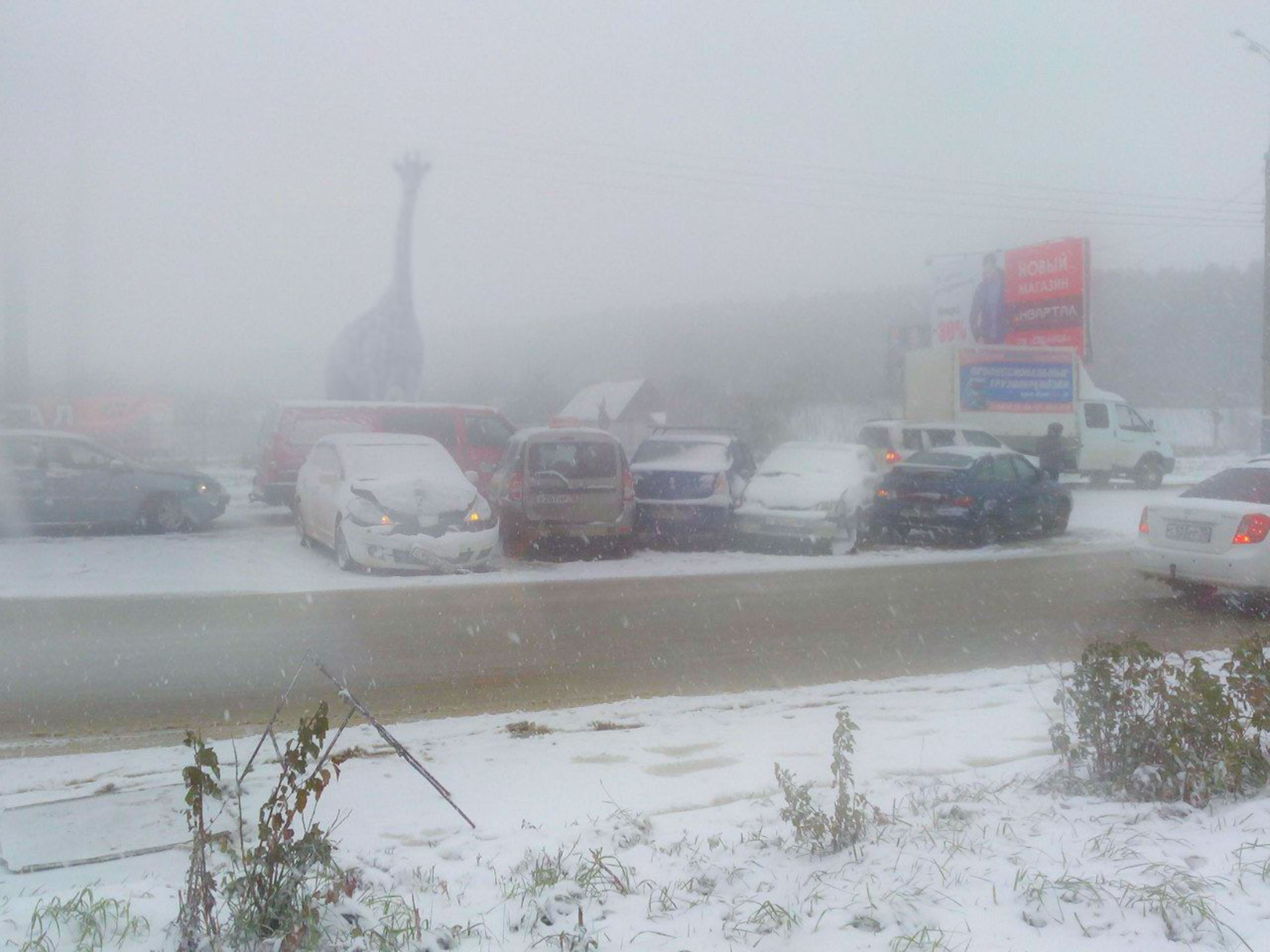 Дичь. Фотограф Виноградов Константин