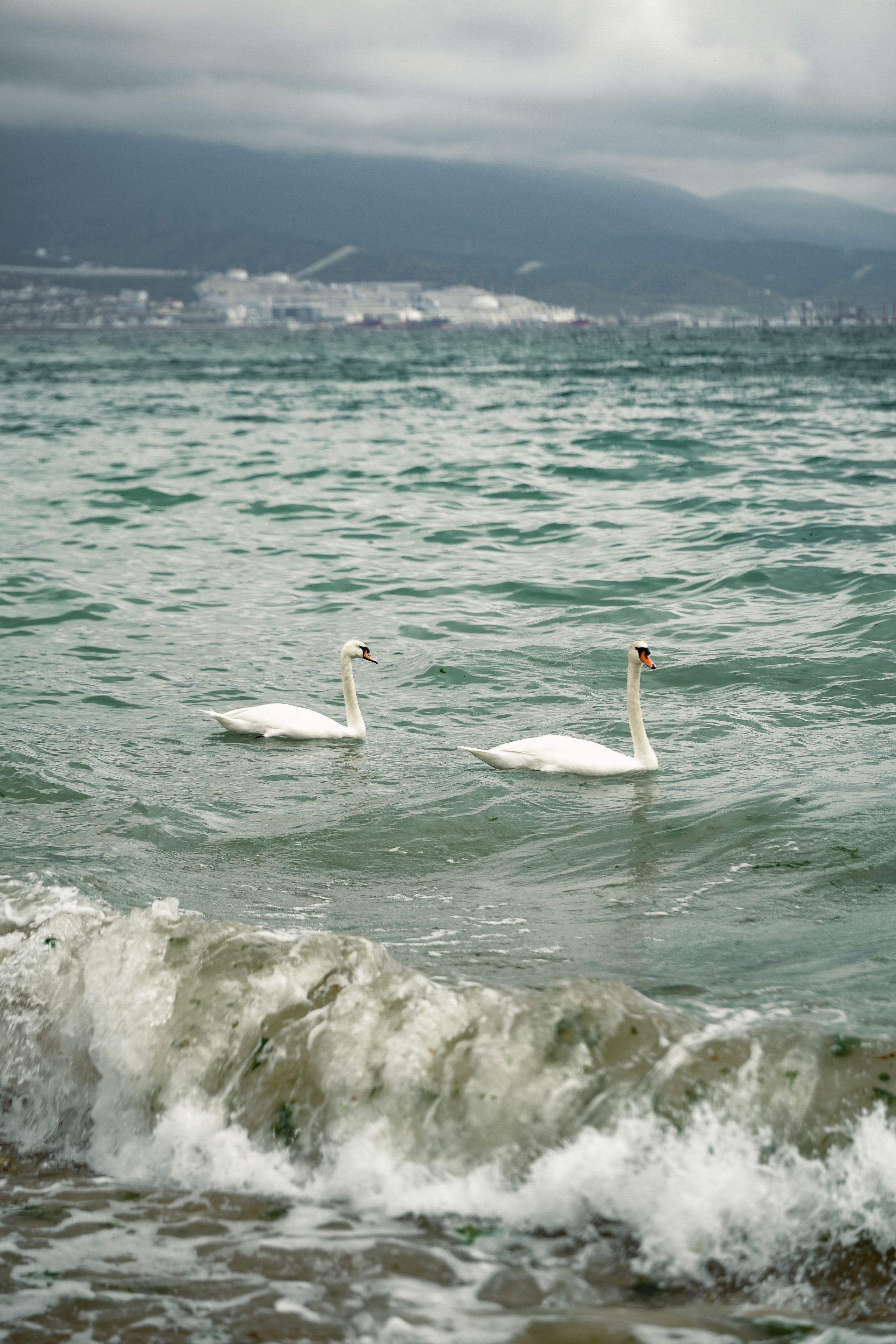 Семейная история. Фотограф Новороссийск | Геленджик и ЮФО Эльвина Ясинская
