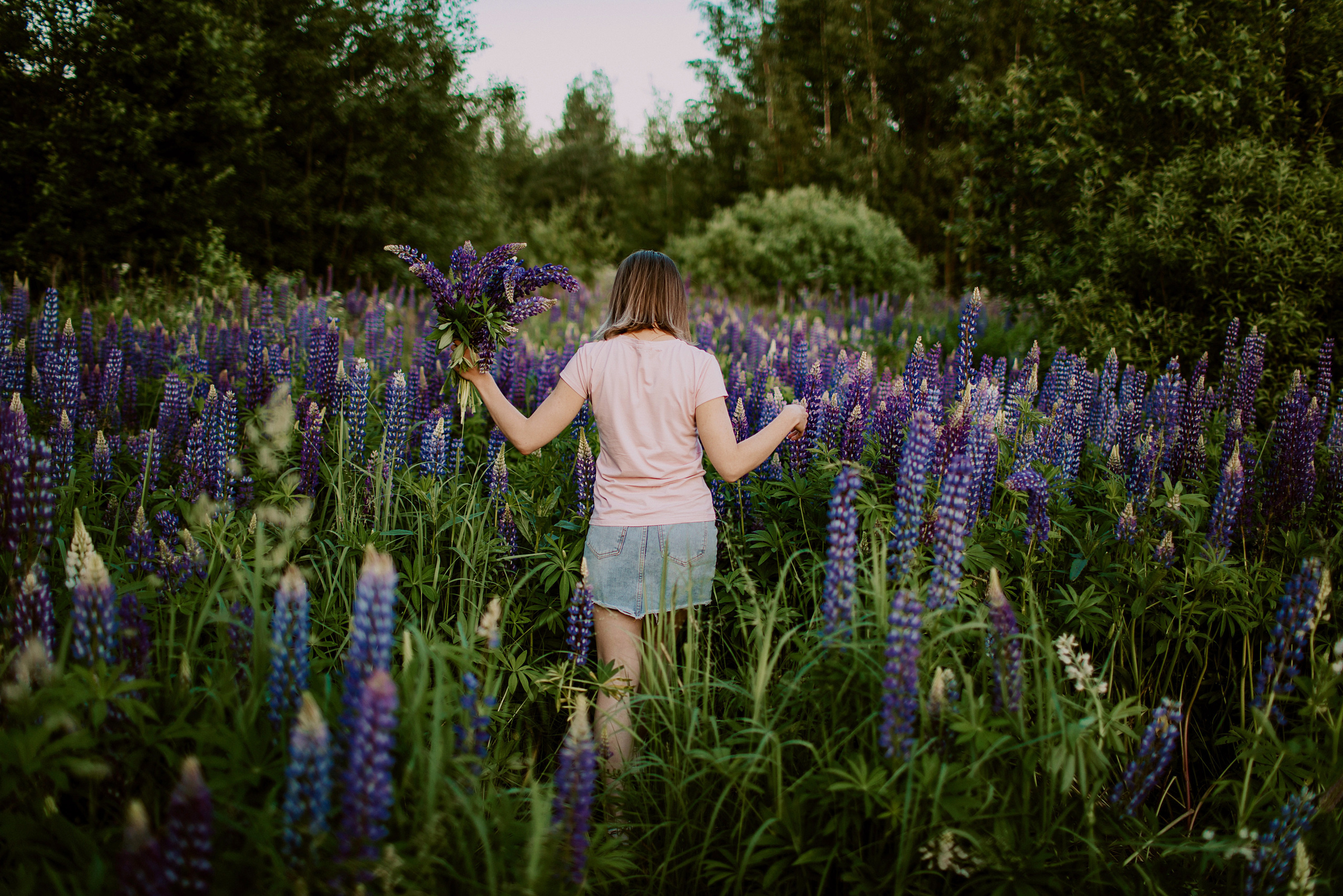 Фотосессия в полях люпинов. Фотограф в Москве и Подольске Алла Богатова