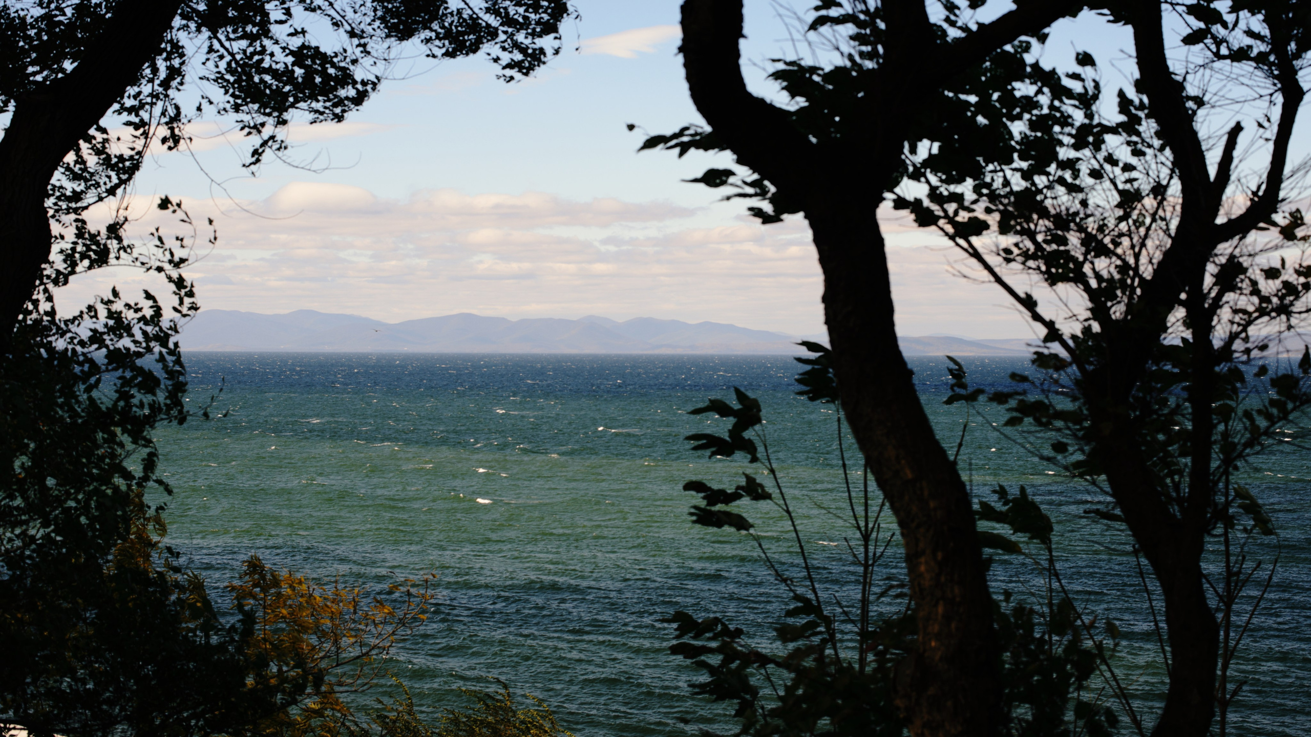 Амурский залив во Владивостоки в солнечный день