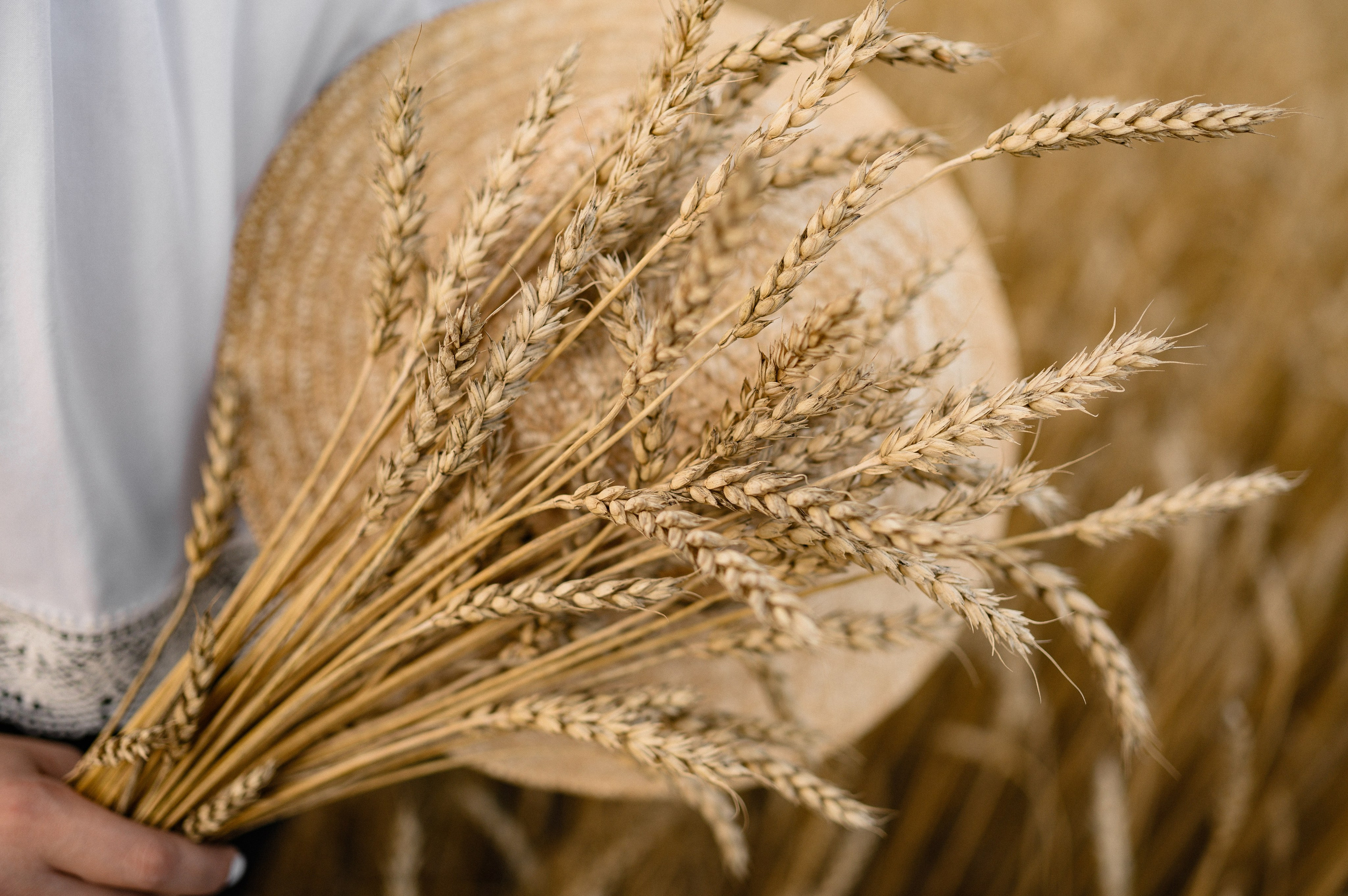 Наталья. Свадебный и Семейный фотограф в Абакане, Красноярске