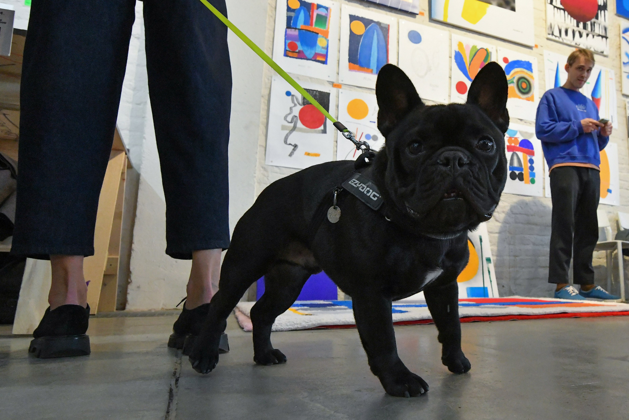 Выставки. Антон Великжанин — фотокорреспондент