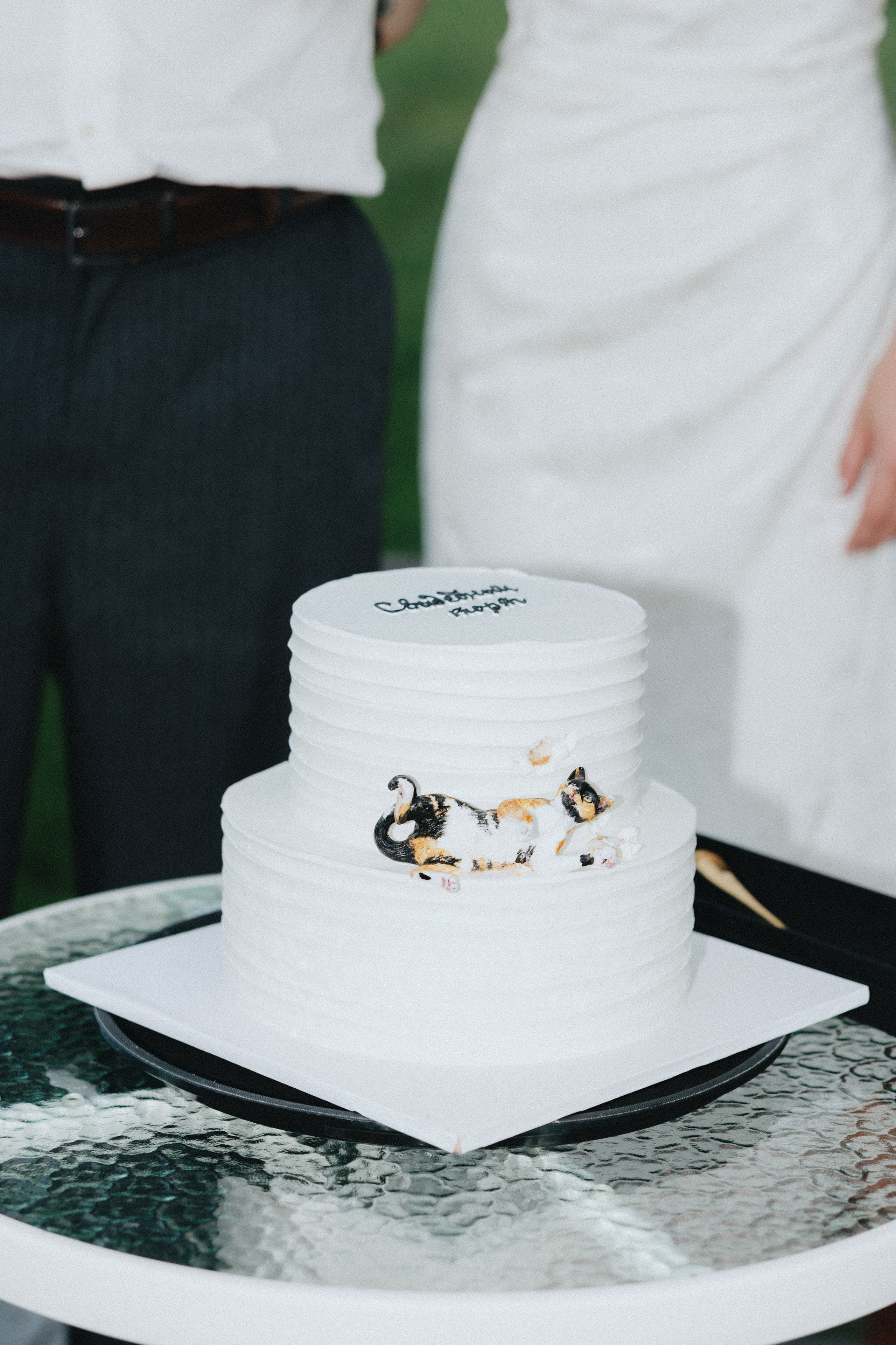 Эко вечеринка / 2025. Фотограф СПб