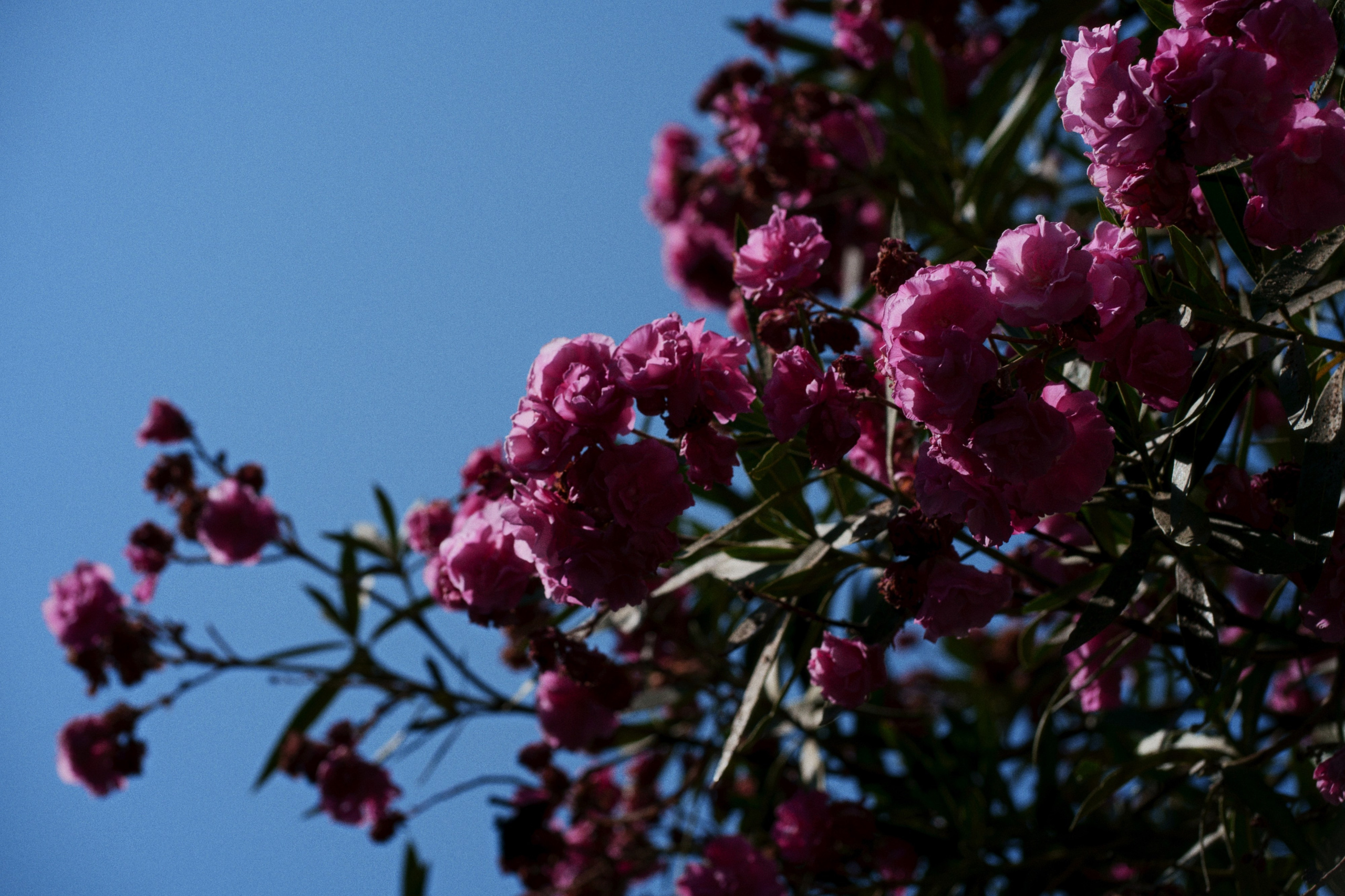 Büyükada х Heybeliada, Istanbul / Türkey SS25. Фотограф Юрин Евгений