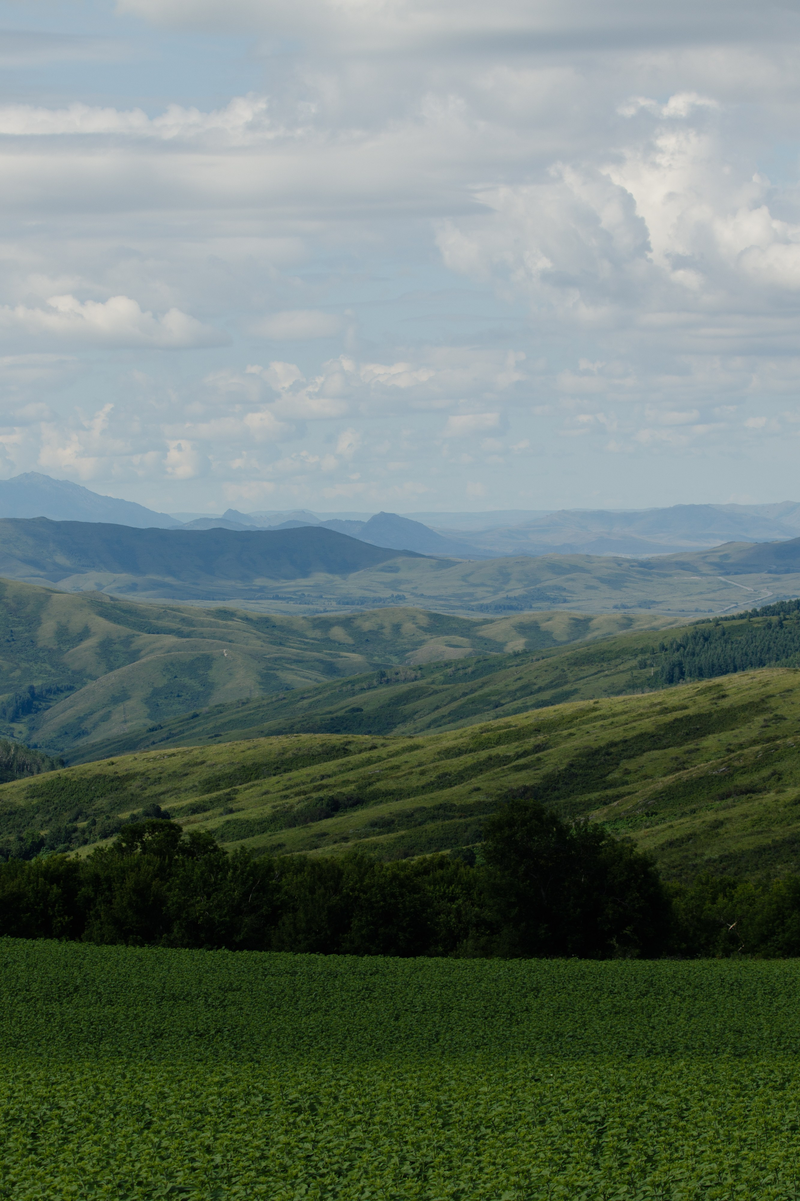Казахстан. Фотограф Кирилл Мешков Кемерово