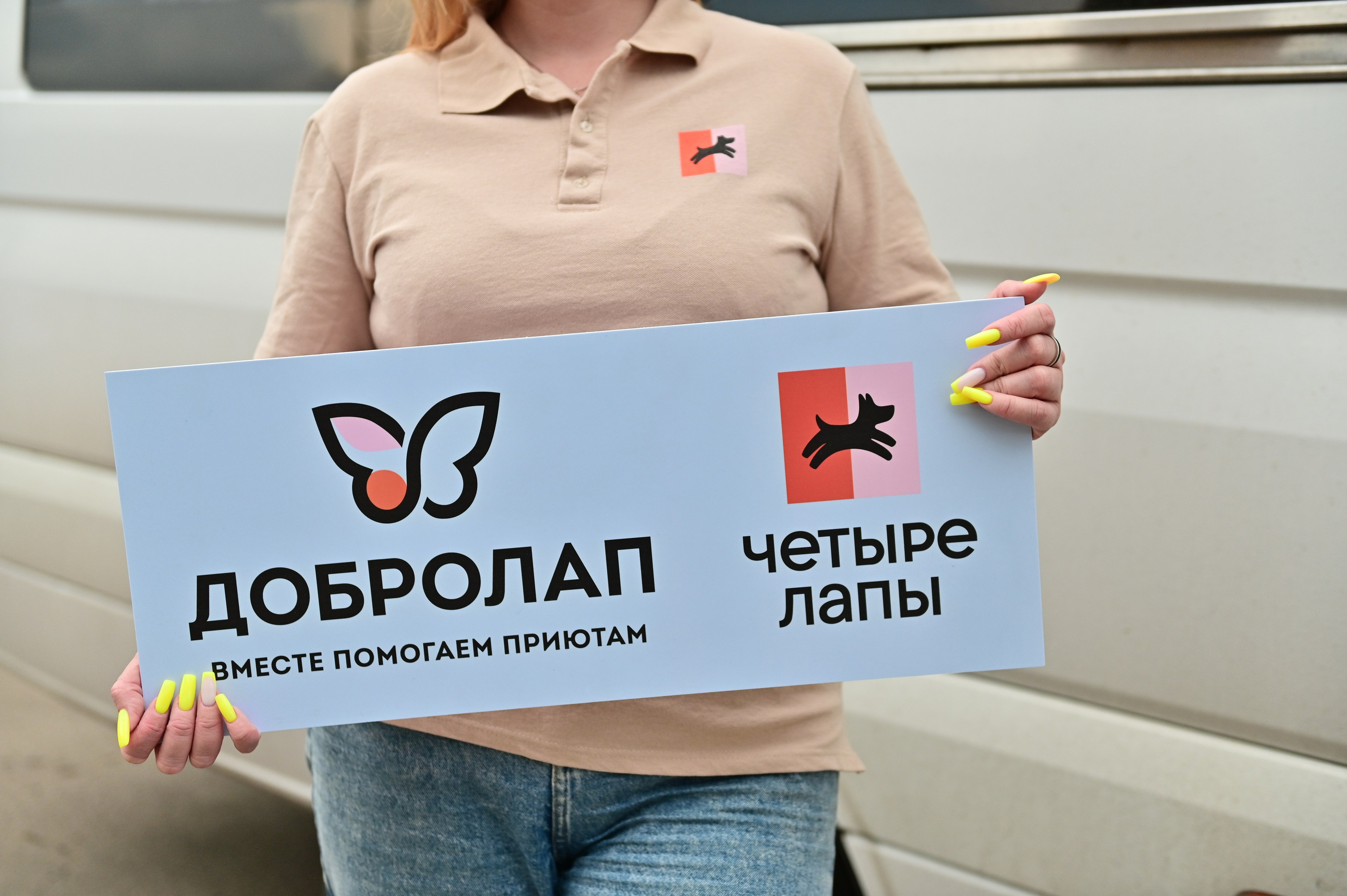 Добролап: поездка в приют «Ника». Анна Пушина, фотограф, Москва, Королев, Пушкино