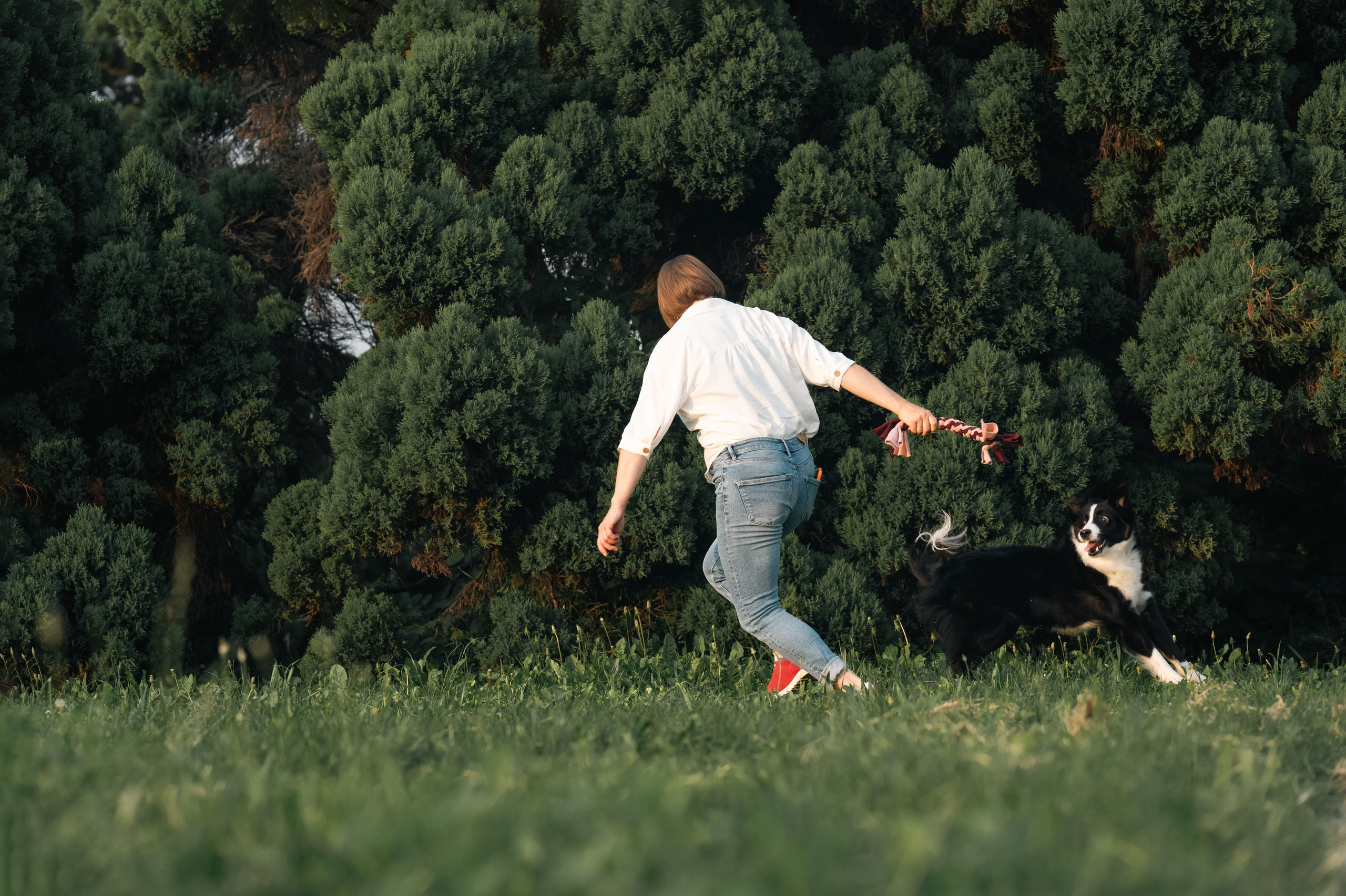 Белград, Калемегдан. Таня и Шегги. Фотограф анималист