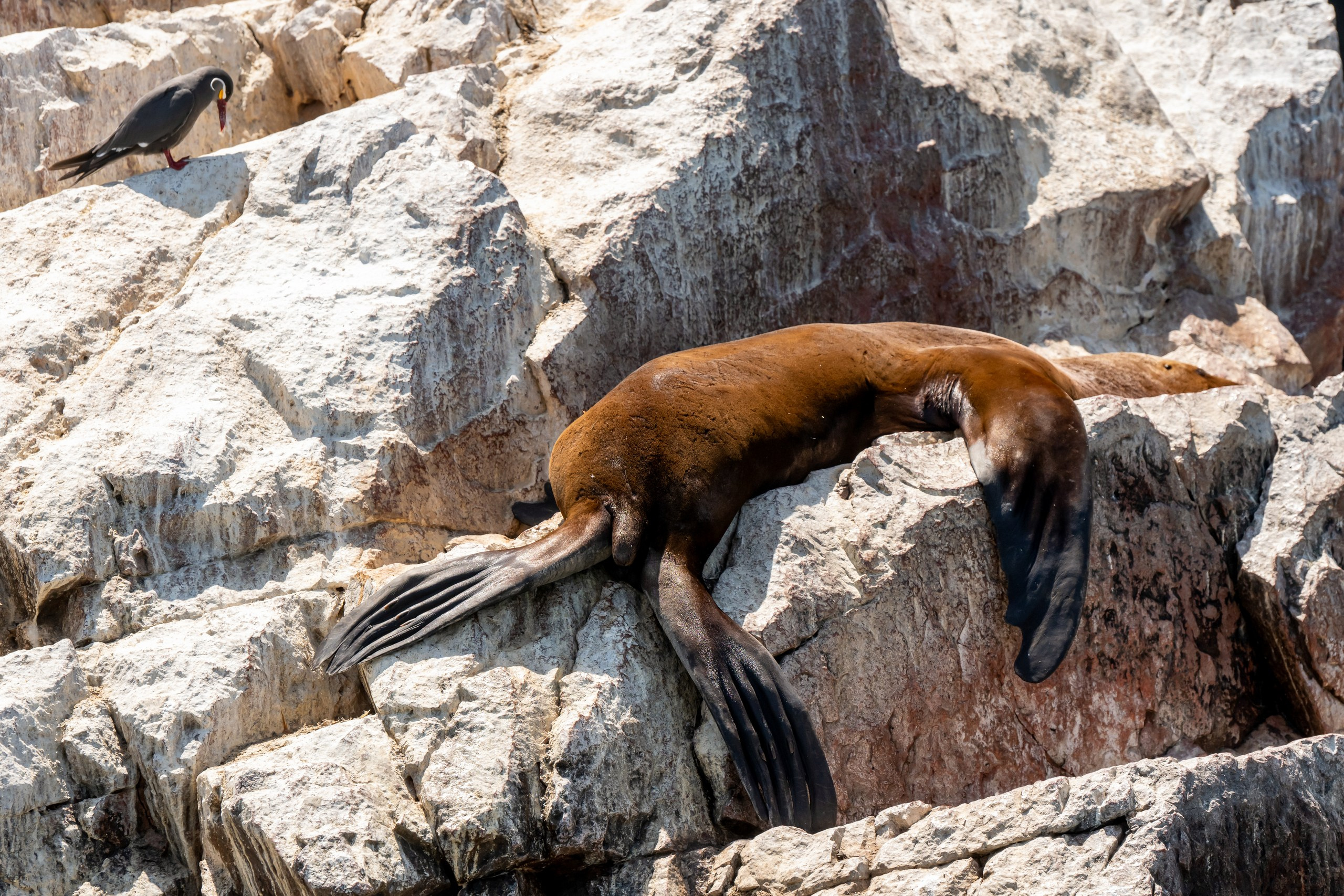 Перу. Foto-Zuev фотография как искусство