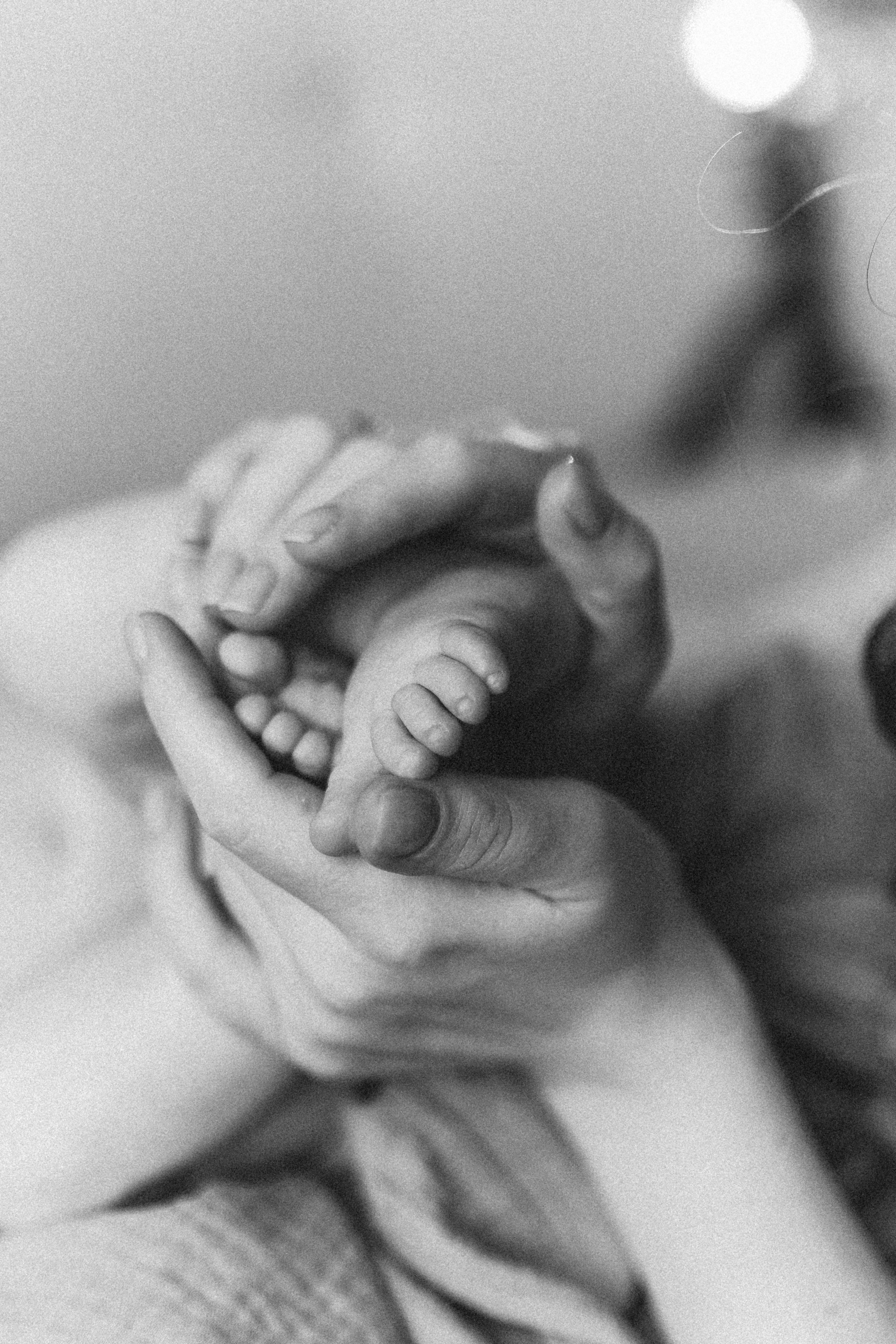 Катя, Арсений. Семейный фотограф Оля Гладченко