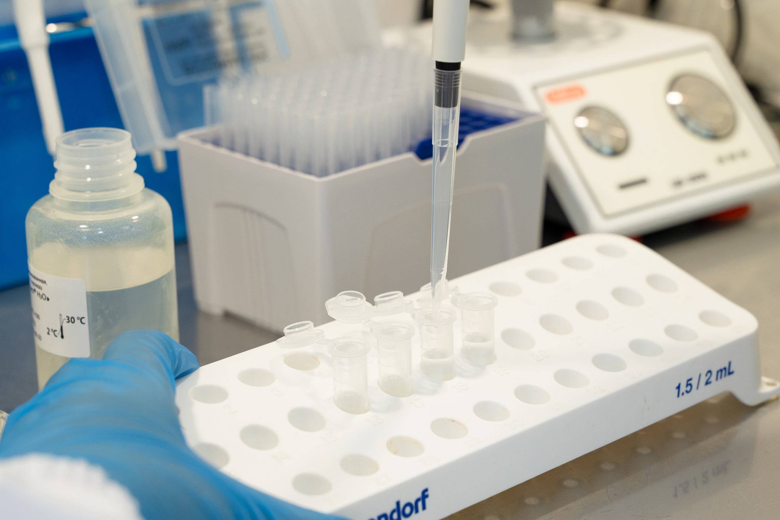 Международная конференция РАН