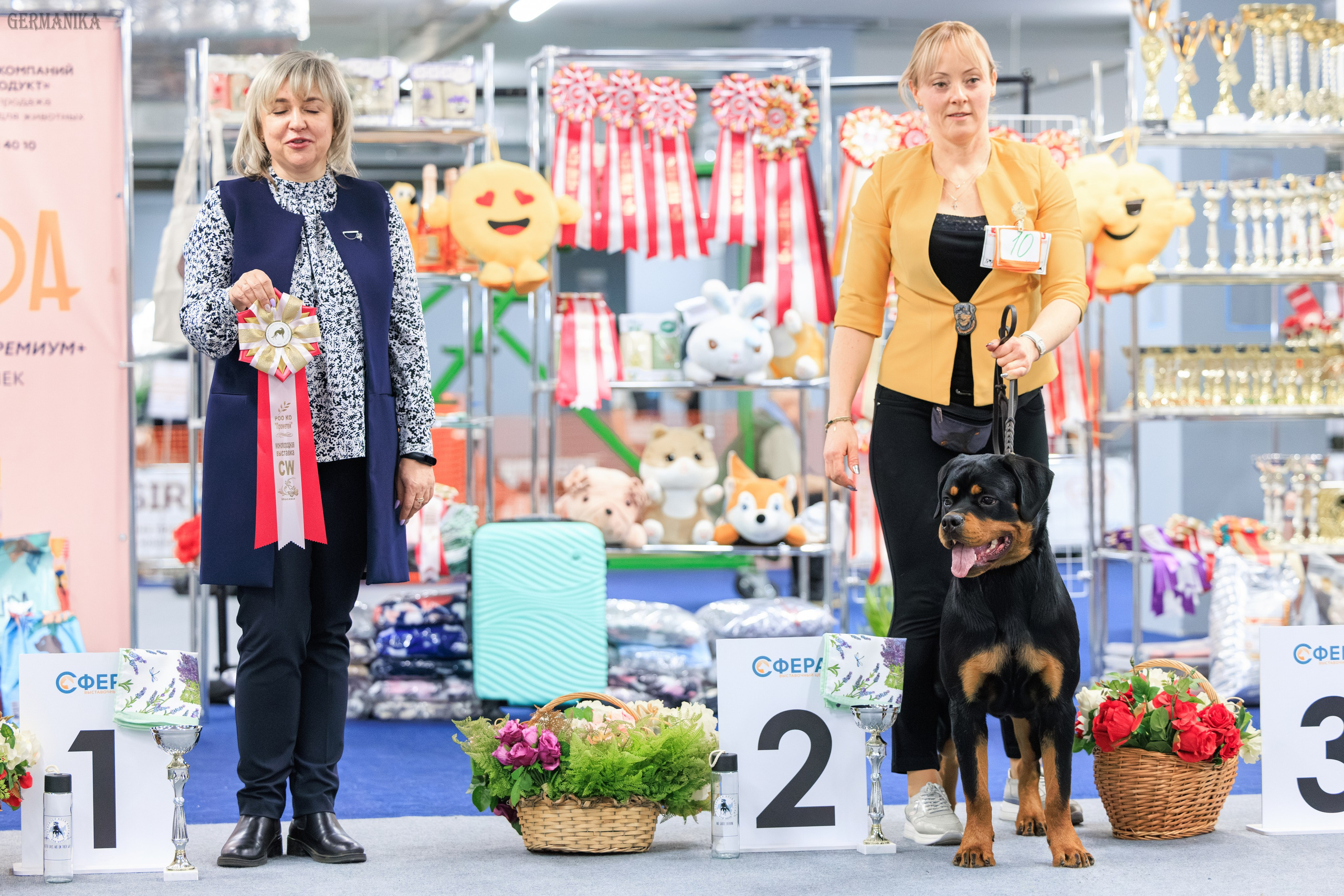 Сфера 08 и 10.03.2024 2хмоно ротвейлеров+2хмоно сао. Фотограф-анималист Юлия Германика