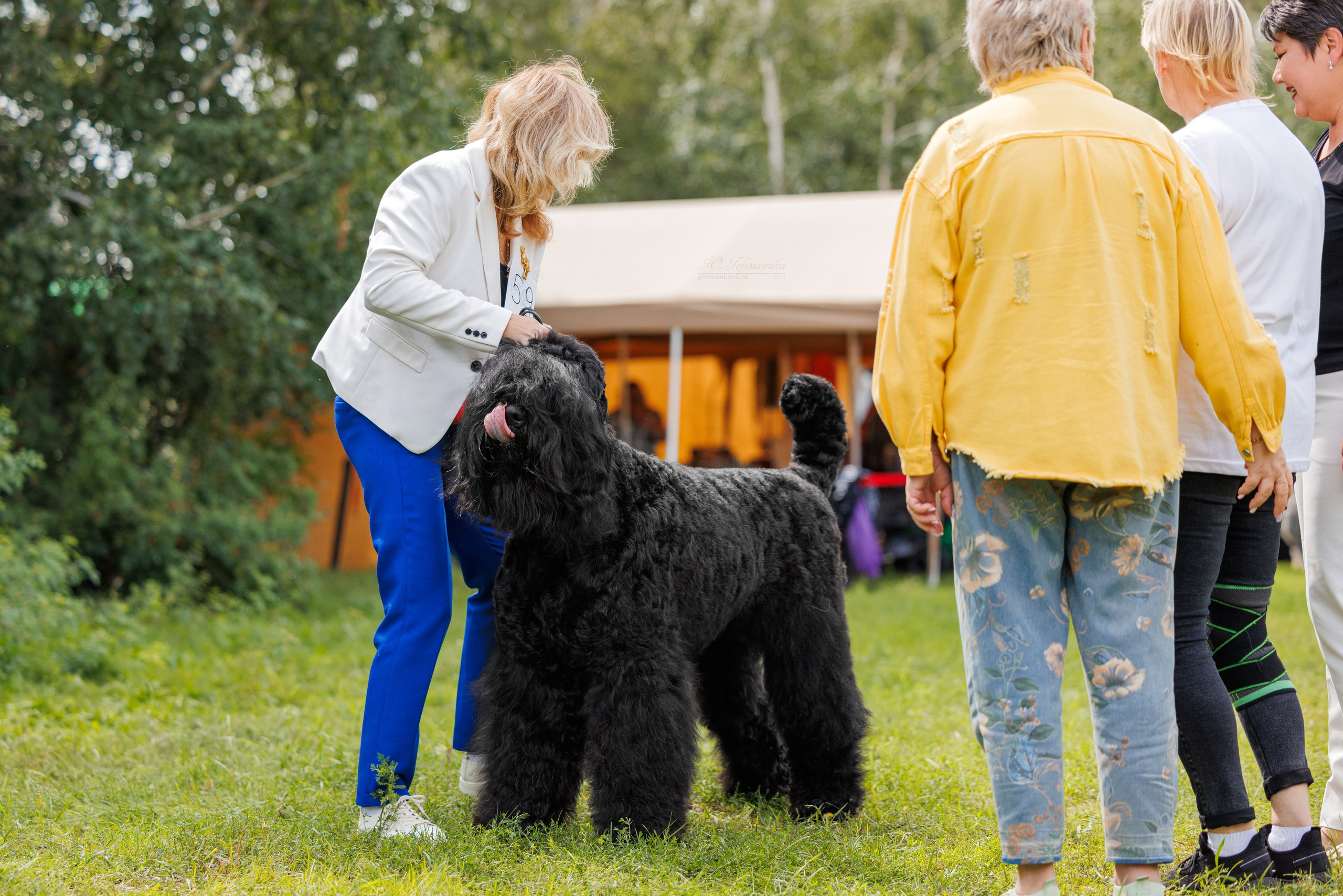 Астана 2хCACIB 17-18.08.2024. Фотограф-анималист Юлия Германика