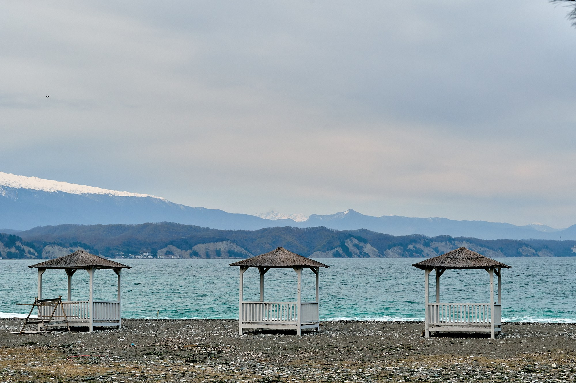 Пицунда, Абхазия. Декабрь 2024. Фотографии отовсюду и обо всем