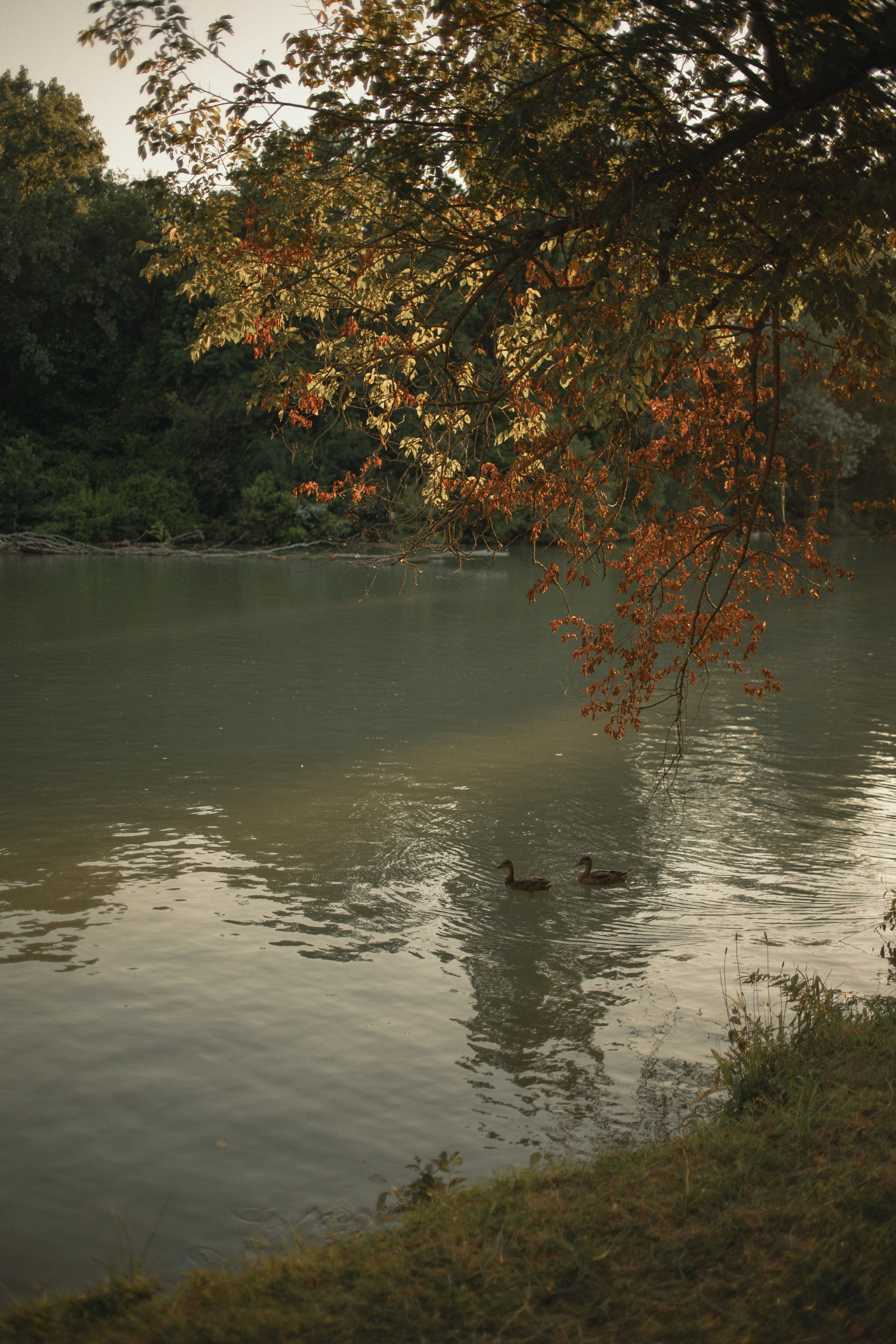 Семейная велопрогулка. Фотограф в Краснодаре Евгения Михаевич