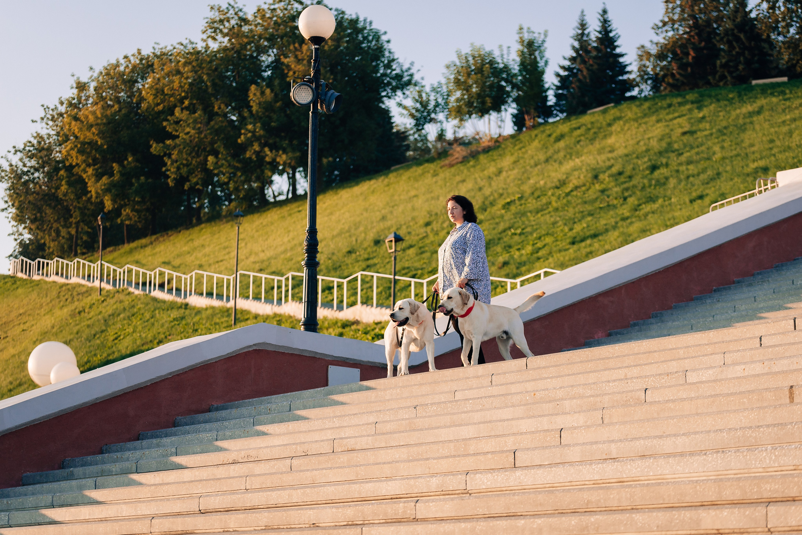 Екатерина, Урал и Бест. Фотограф-анималист Анастасия Парфенова|Екатеринбург