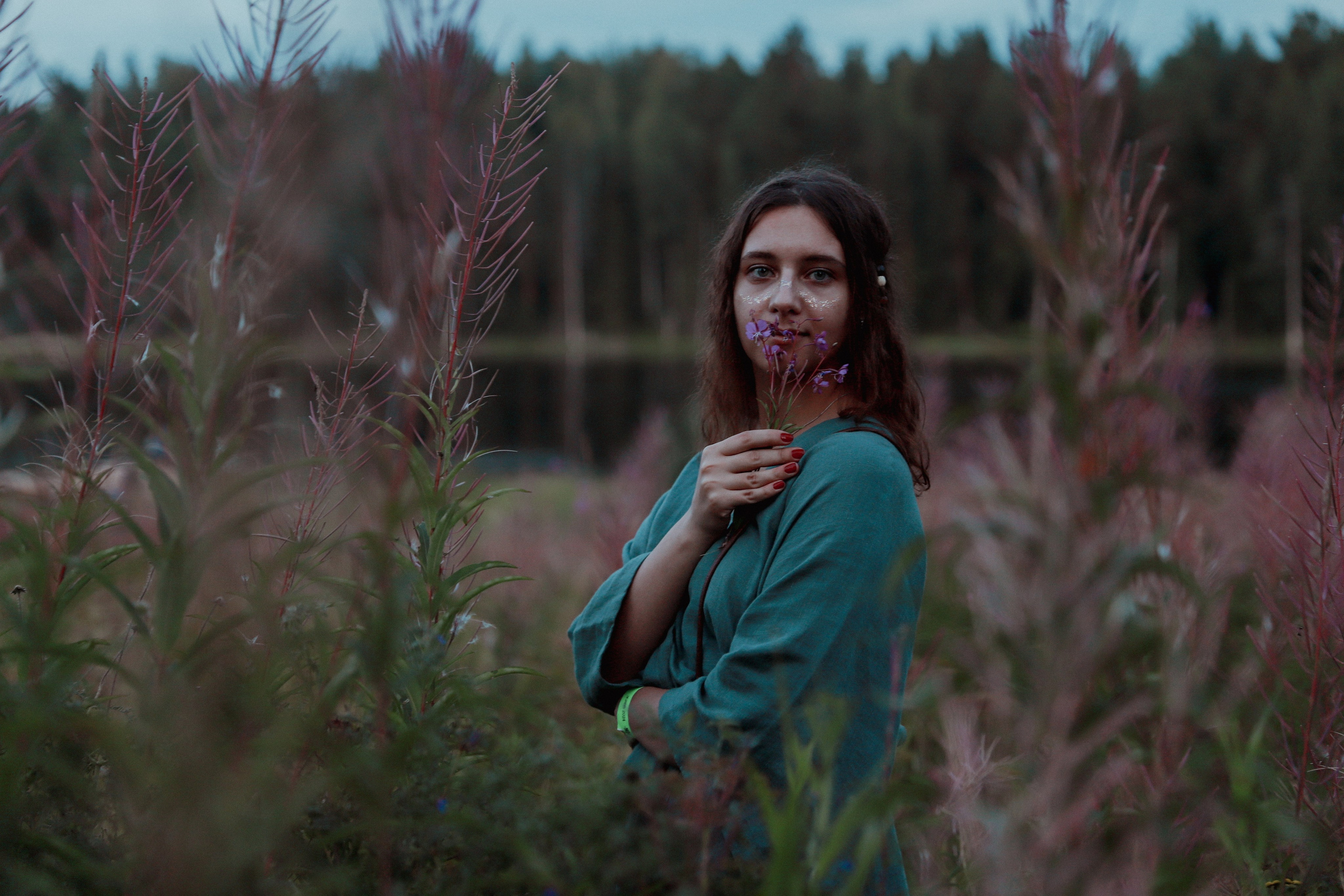 Фестиваль Жива