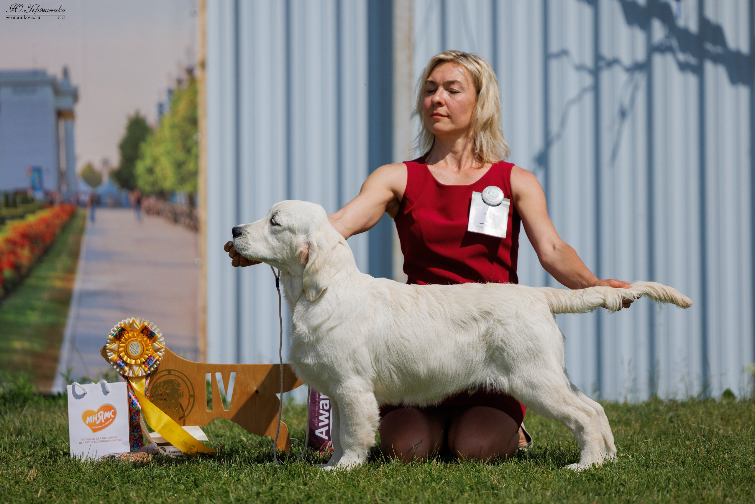 Голдены 15-16.06.2024. Фотограф-анималист Юлия Германика