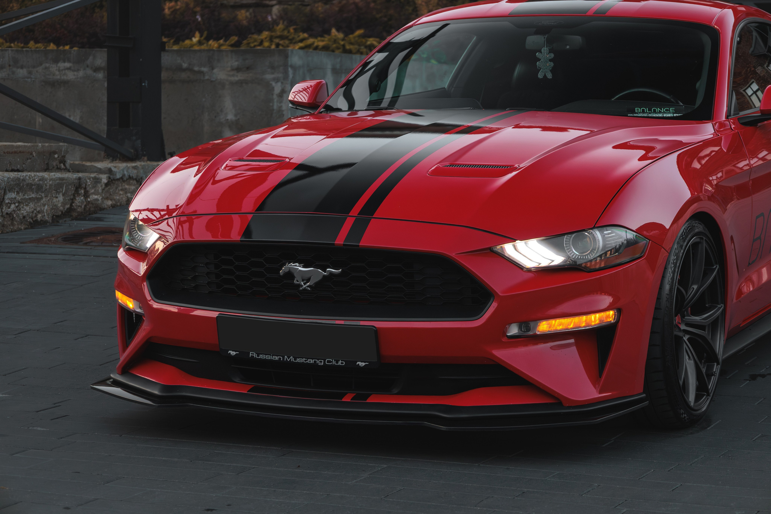 Mustang. Мелехов Дмитрий|Фотограф|Видеограф